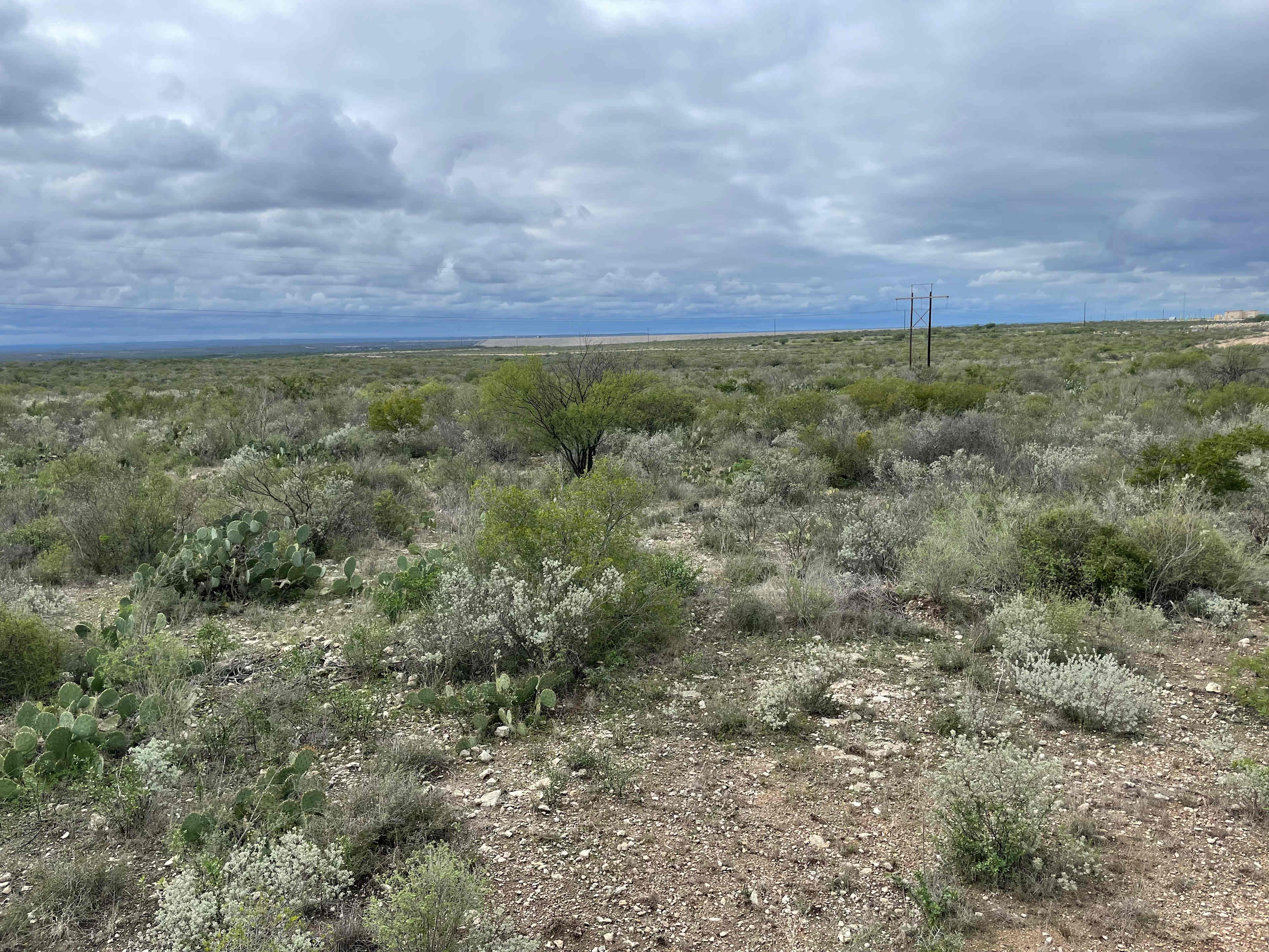 Deerview Ranch