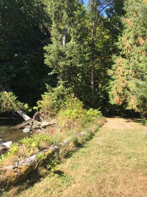 River's edge behind sites 1 and 2