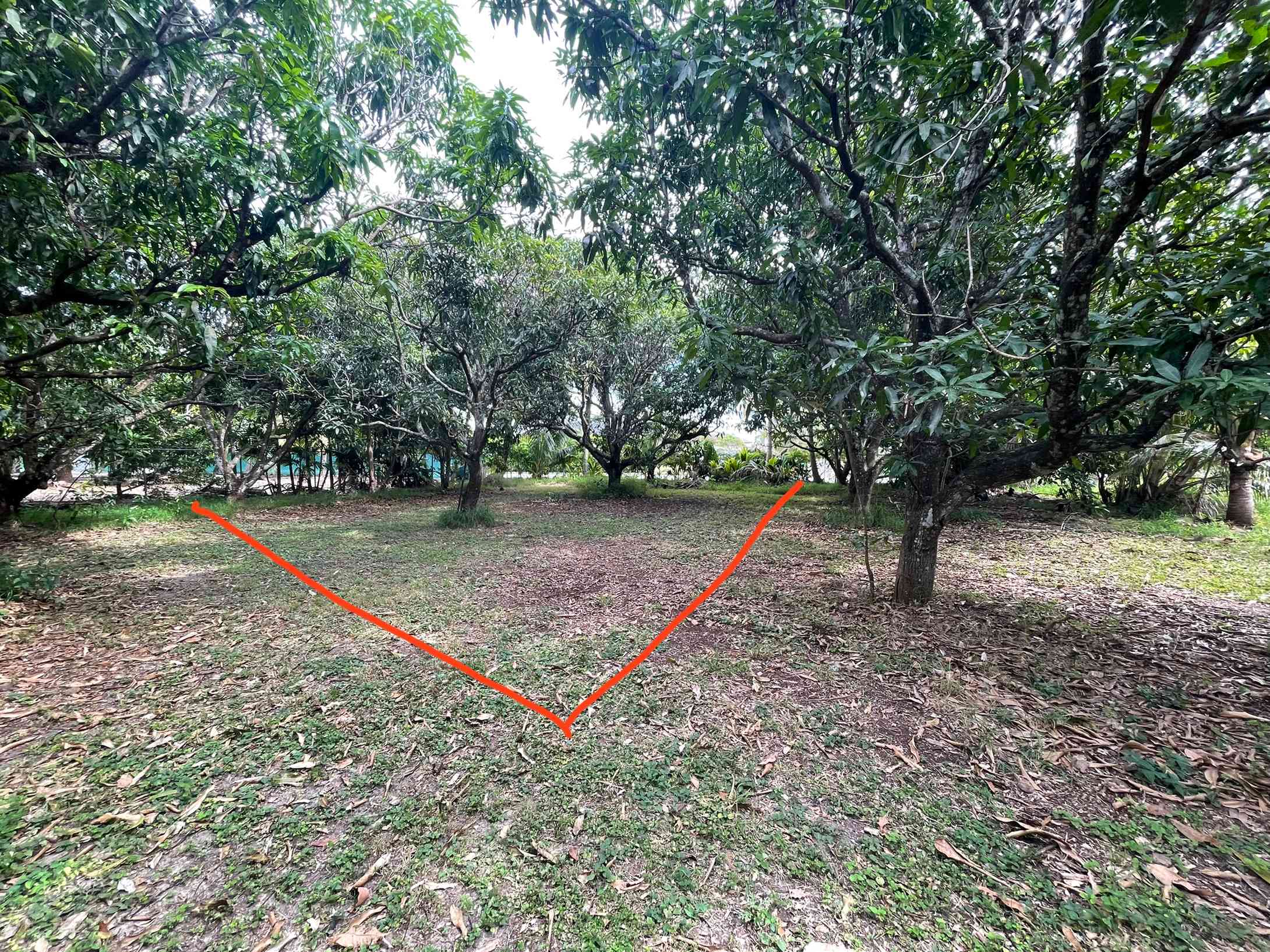 Camp space wide view