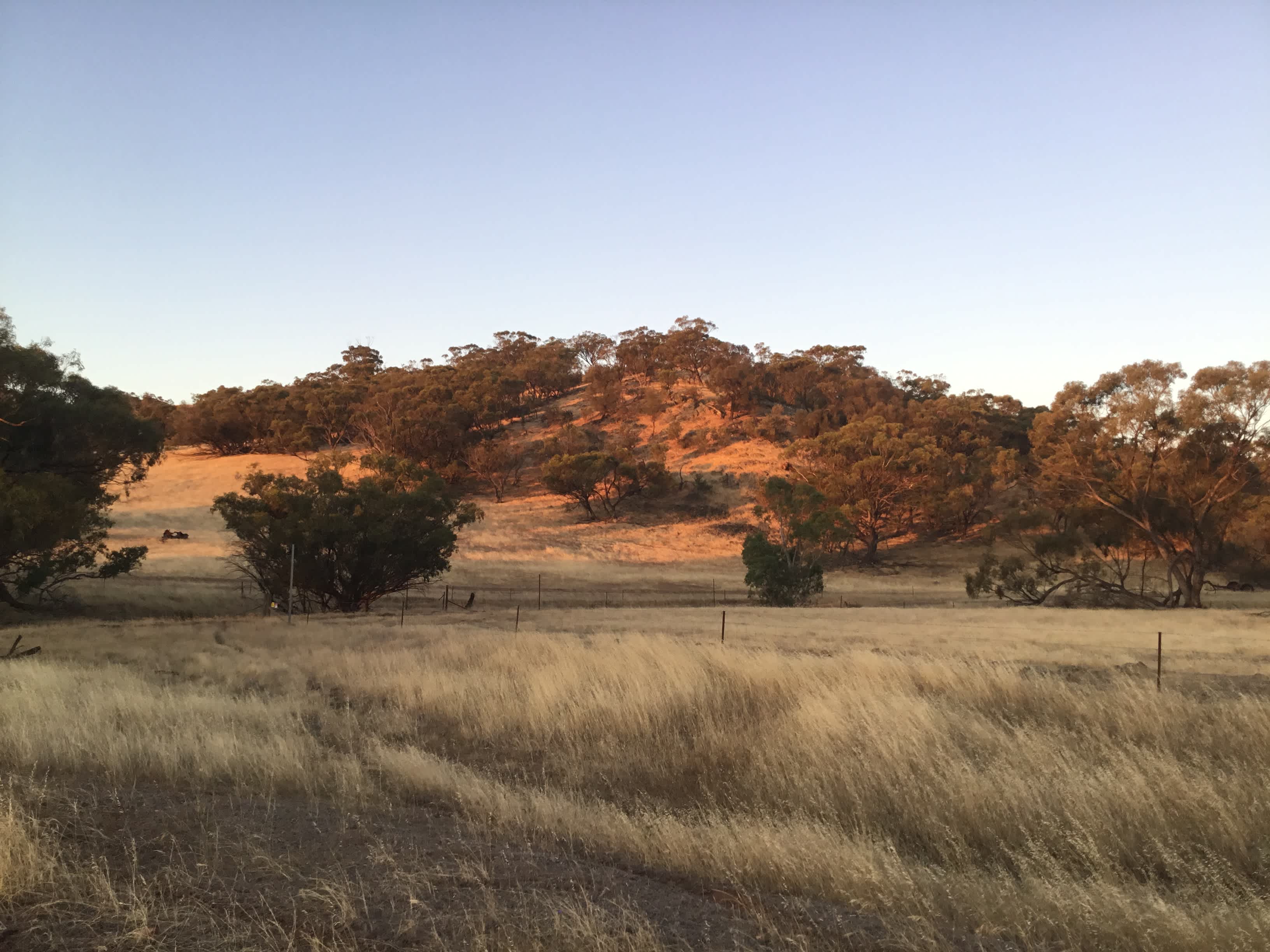 Toowoo Farm