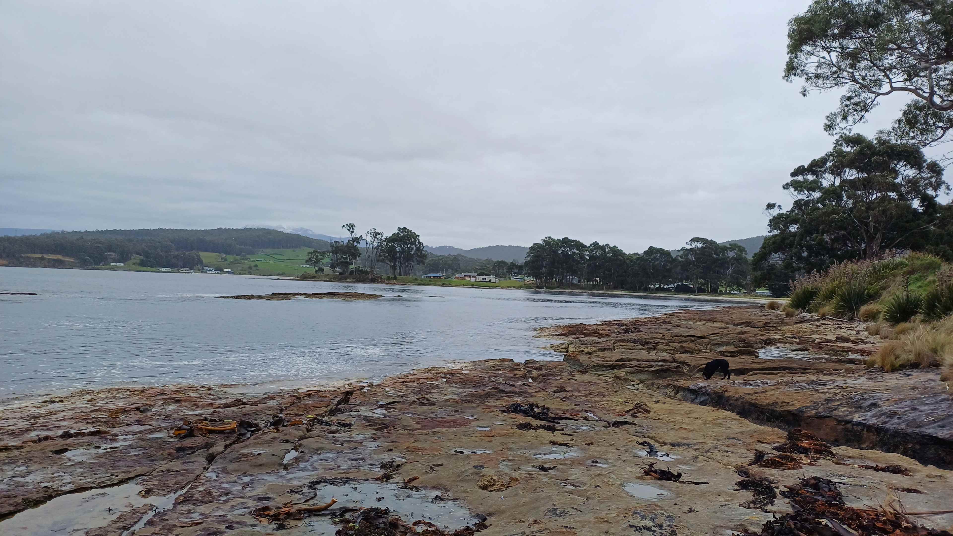 Shoreline 200m from camping site's