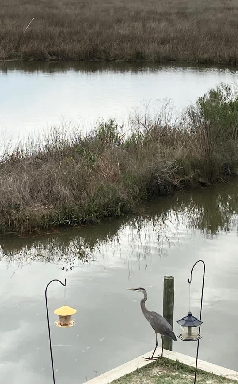 Gulf Shores Waterfront RV Getaway