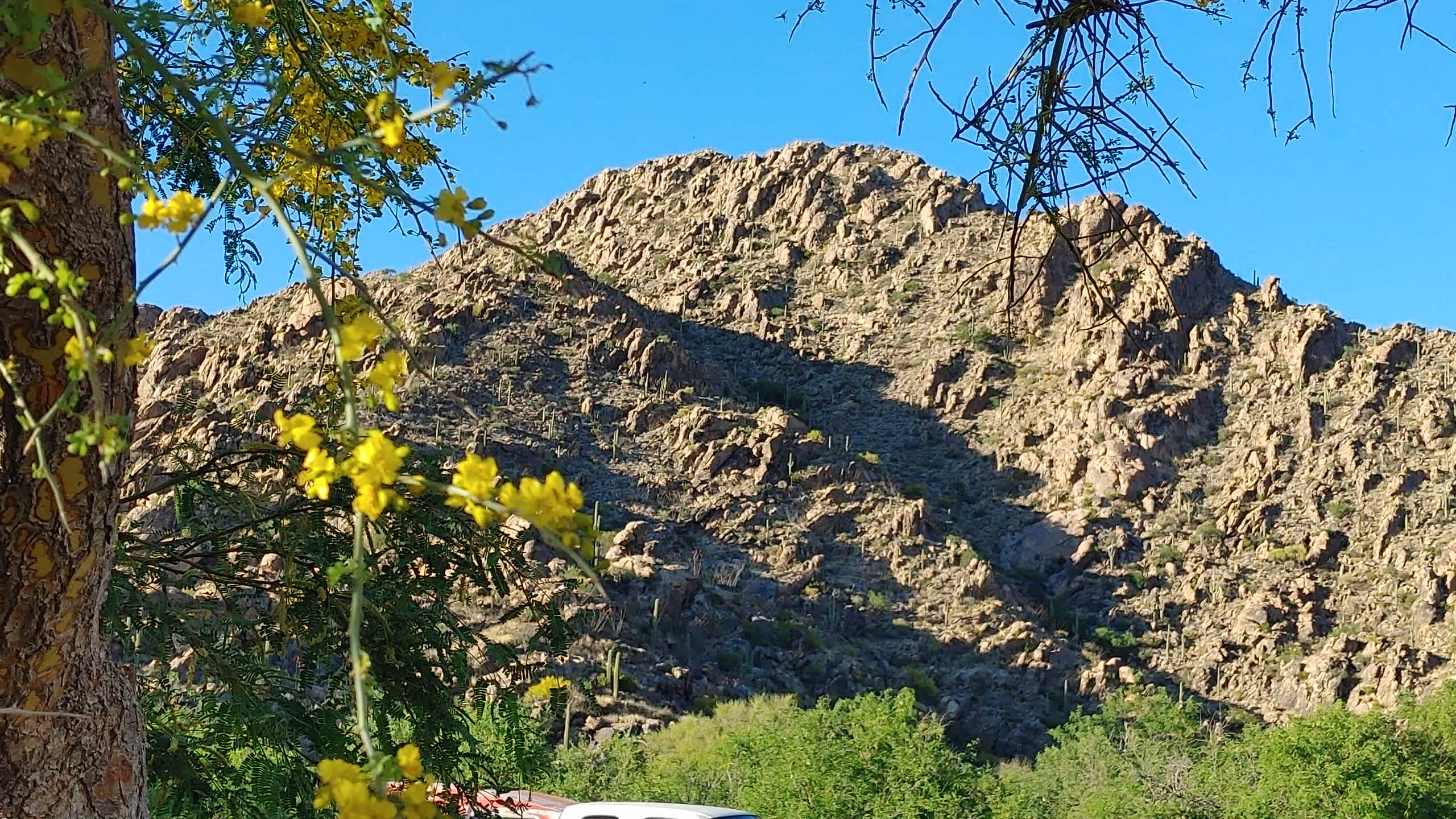 Spring On The Mountain