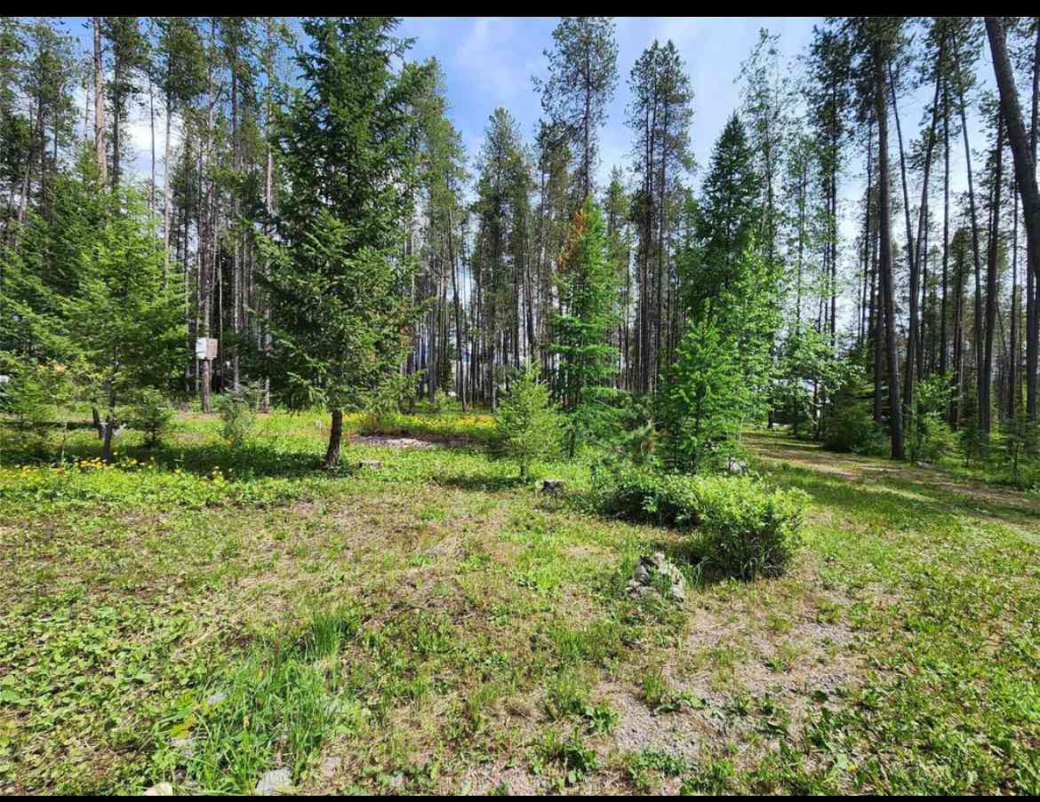 Camp Caribou