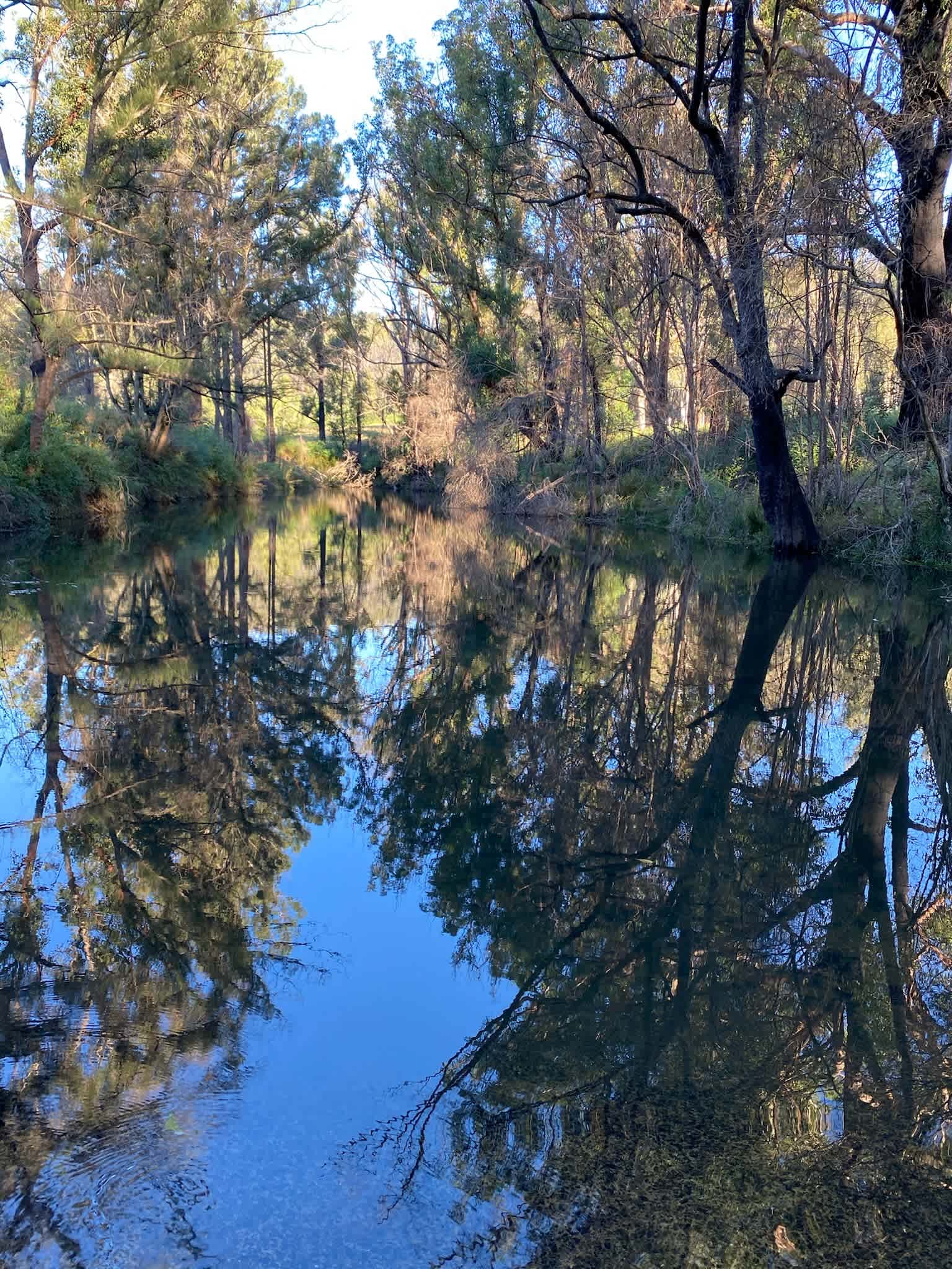 Wombat Hollow