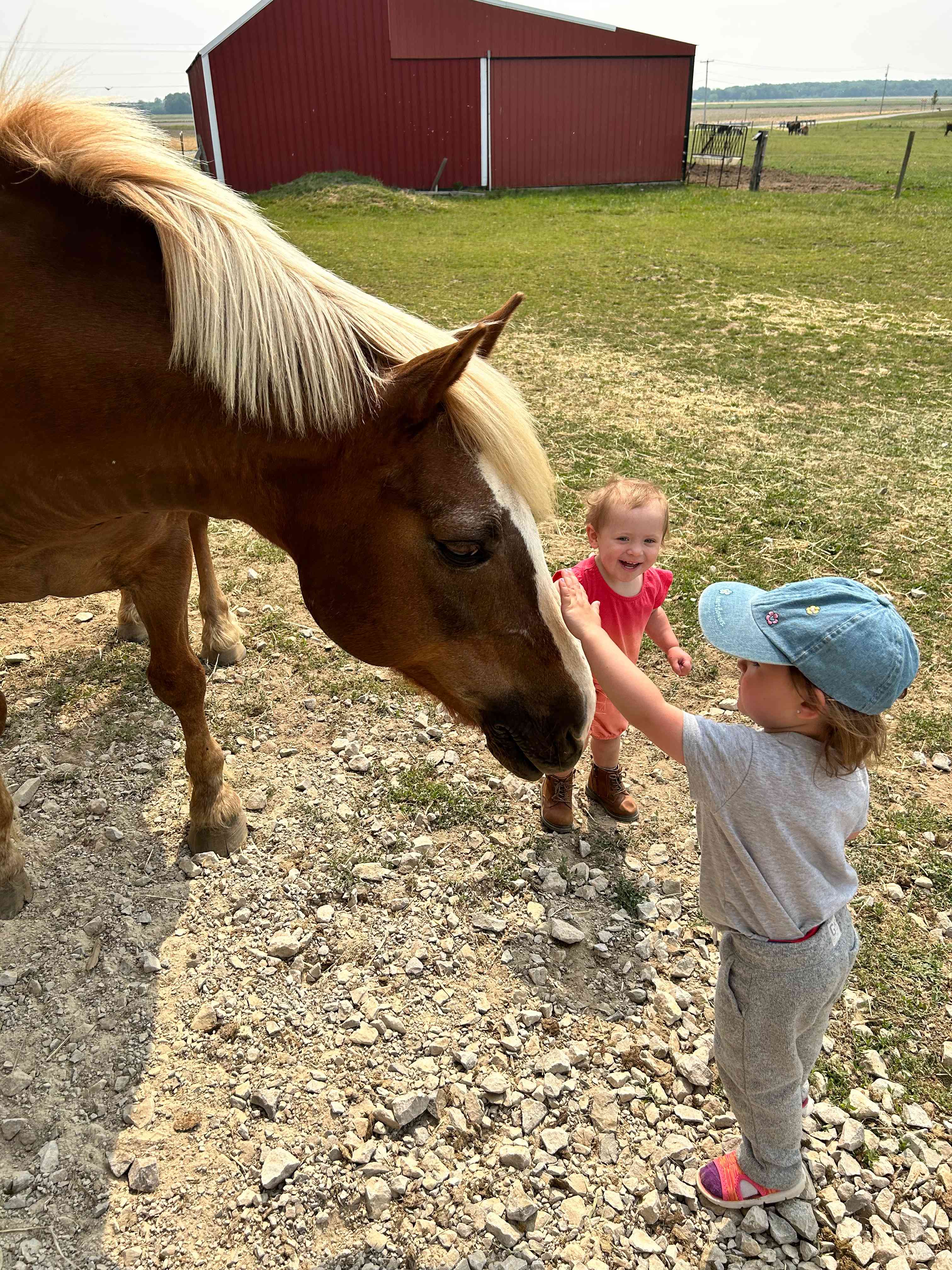 Whispering Pines Farm