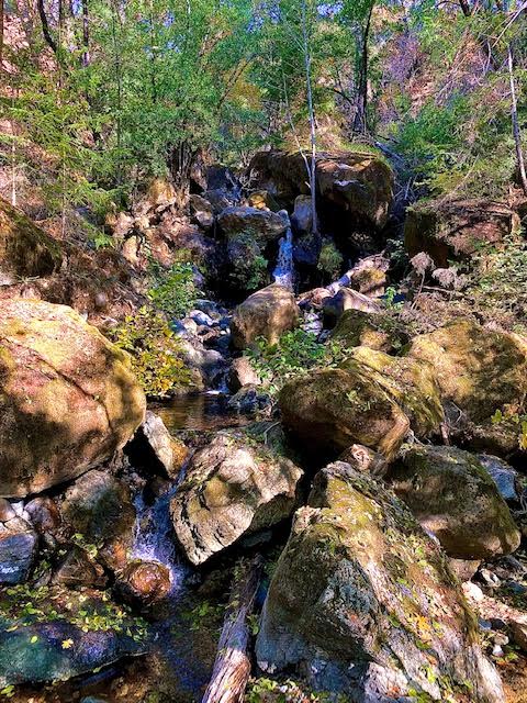 Wild Canyon Ranch CA