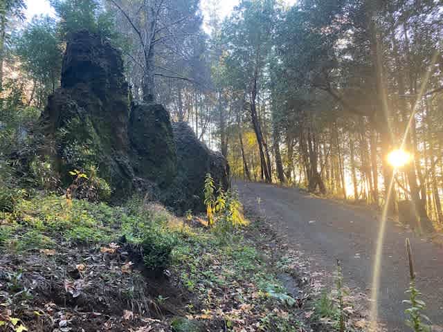 Wild Canyon Ranch CA