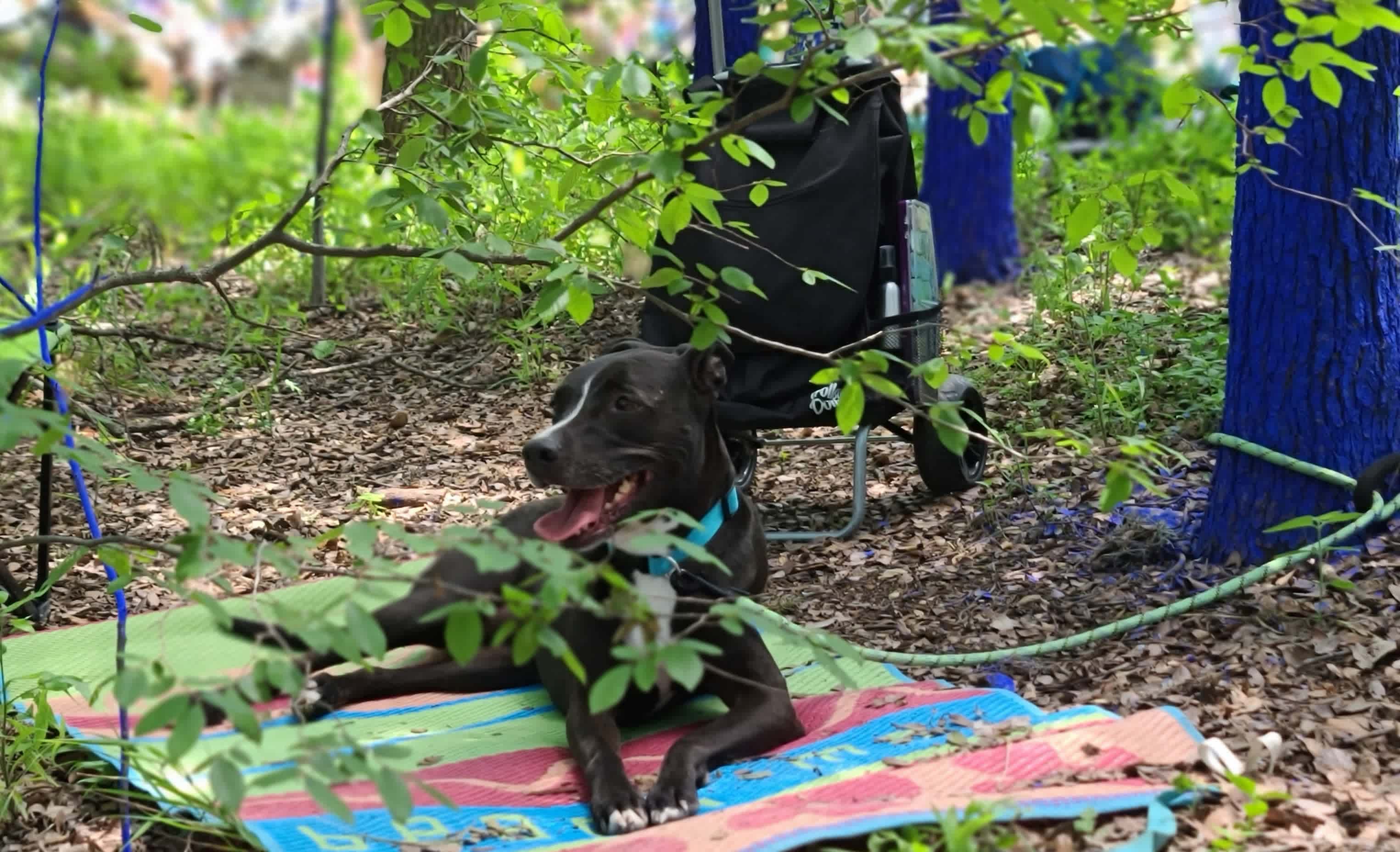 Sunrise Valley Campground and Hike
