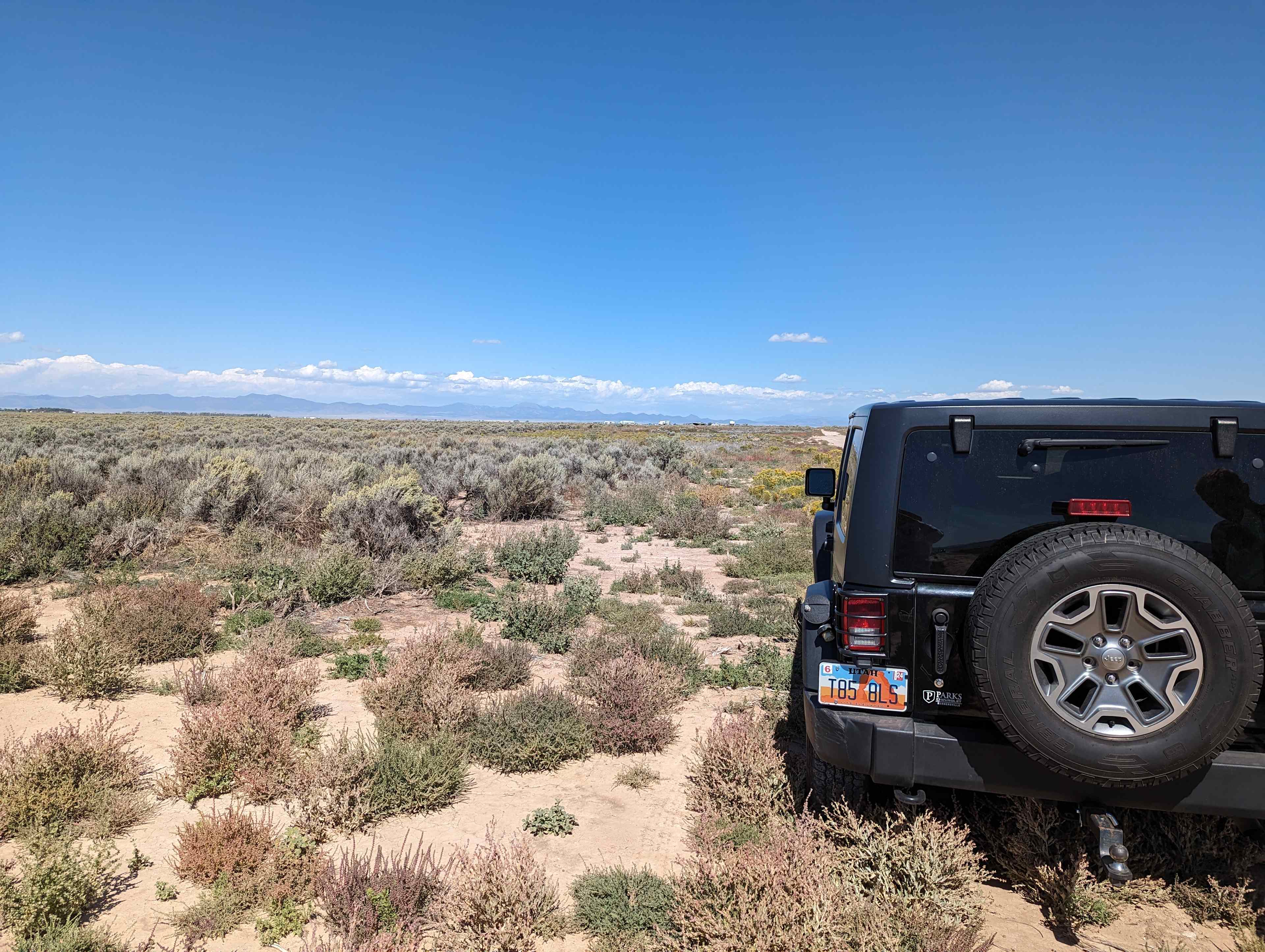 Sea of Sagebrush