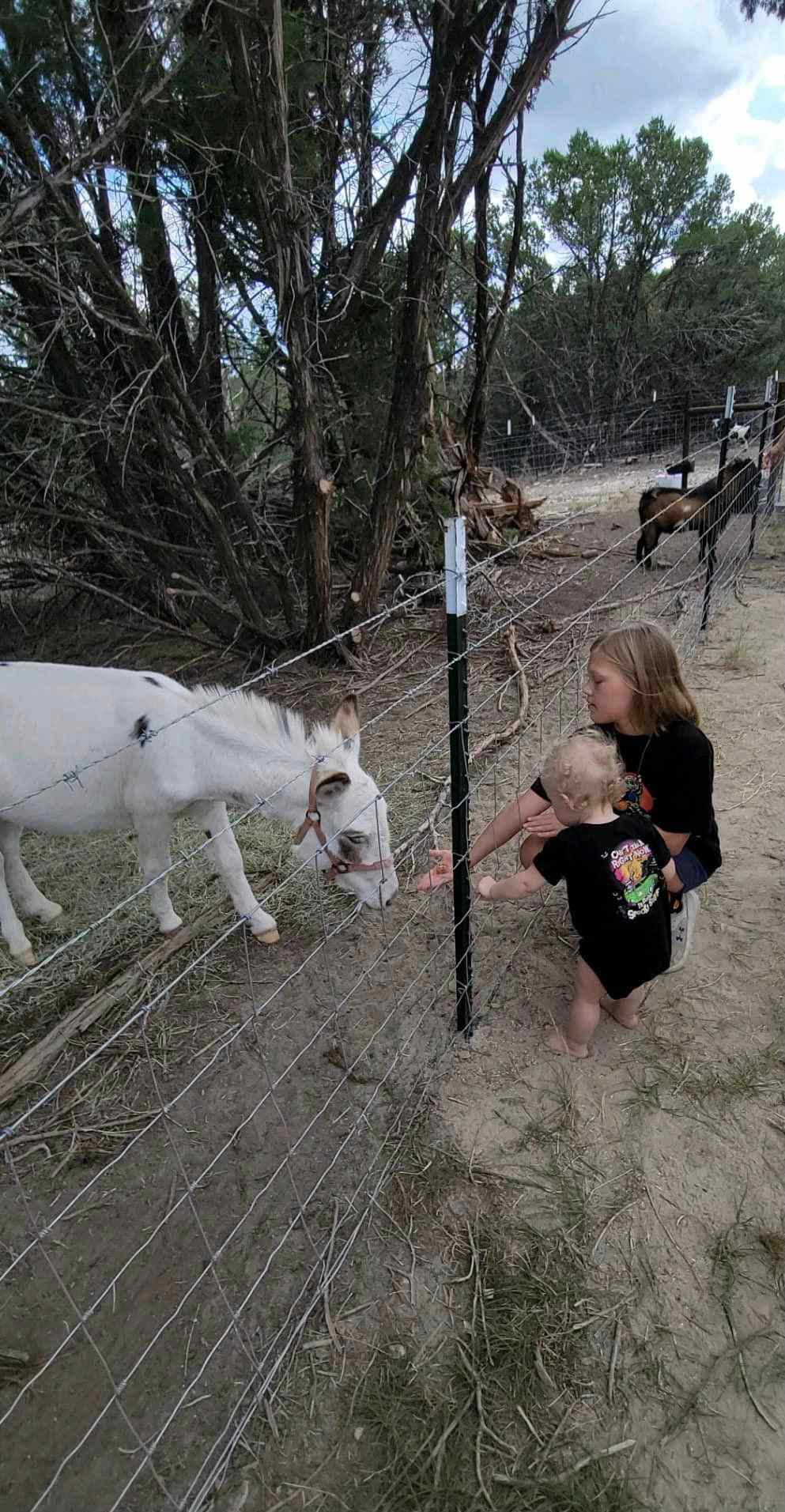 Burning Goat Ranch