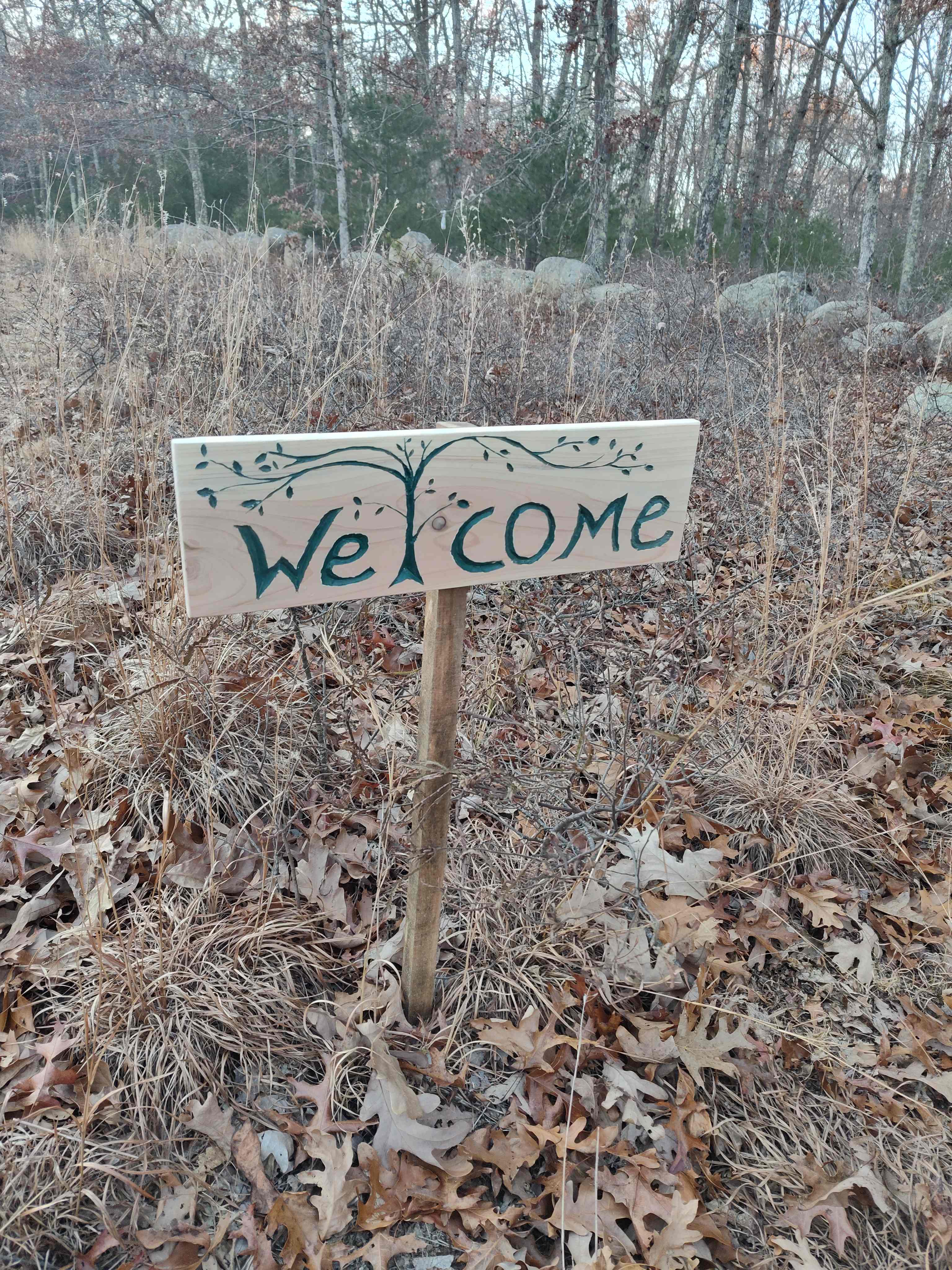 Leyden’s Regeneration Sanctuary