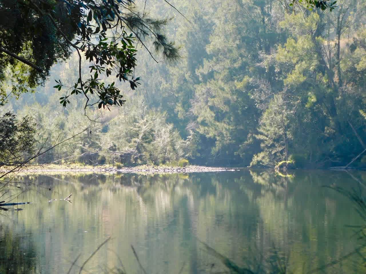 Riverside Privacy - 200 acres 4 you