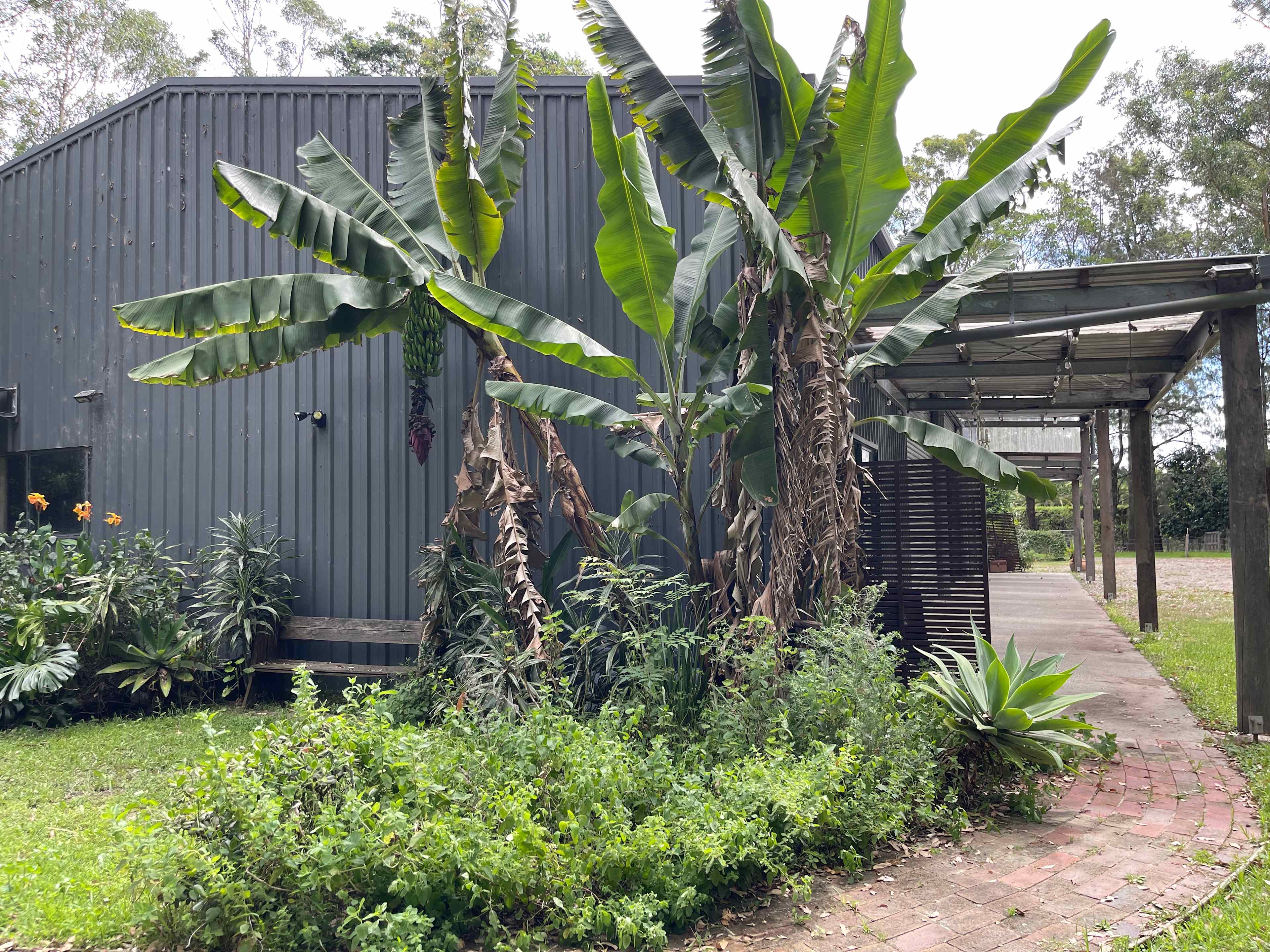 Secrets of Terara