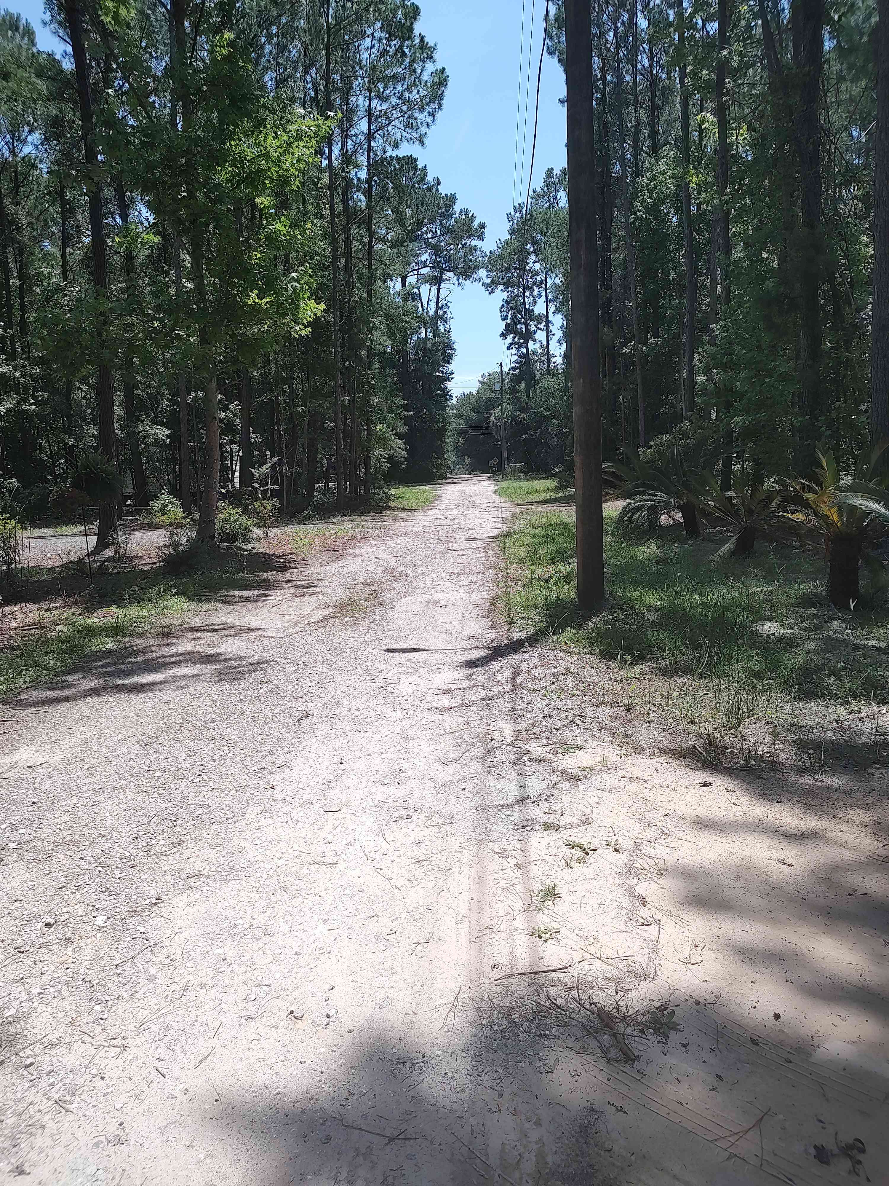 Sea Island Serenity Trails