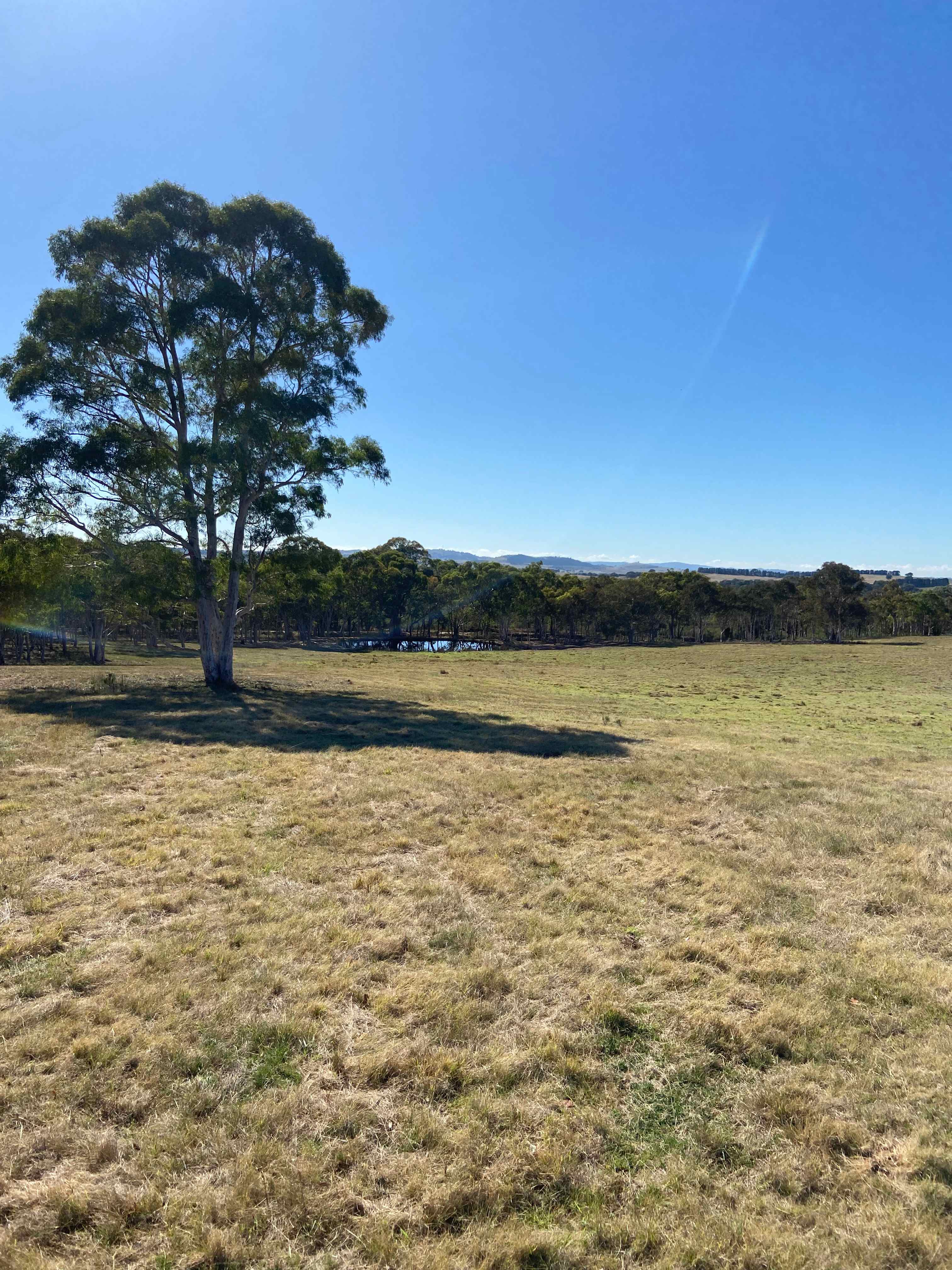 Camping paddock with dam