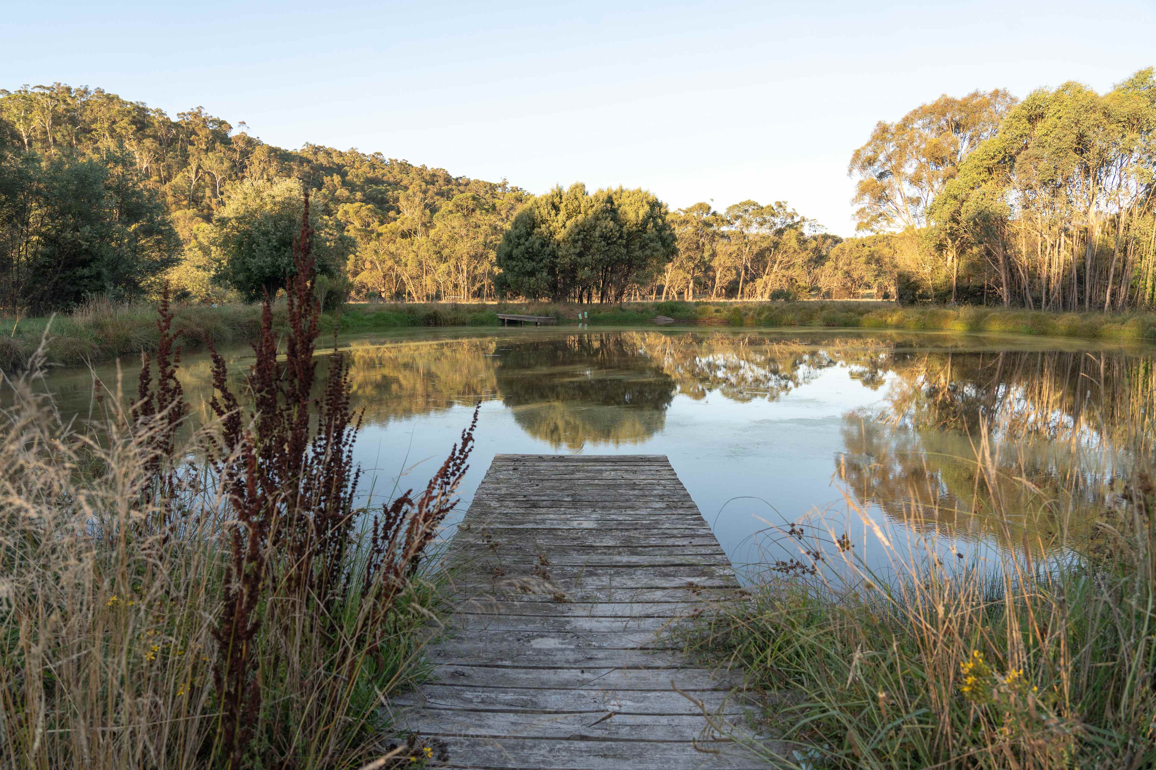 Wabonga Private Camp