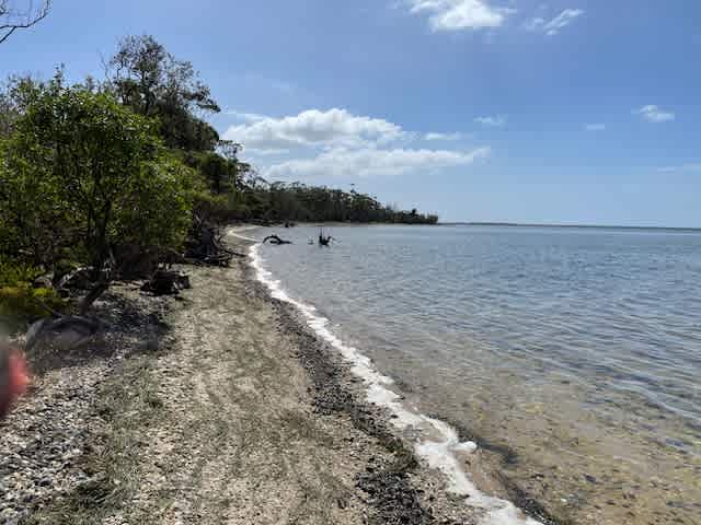 Raymond Island Retreat