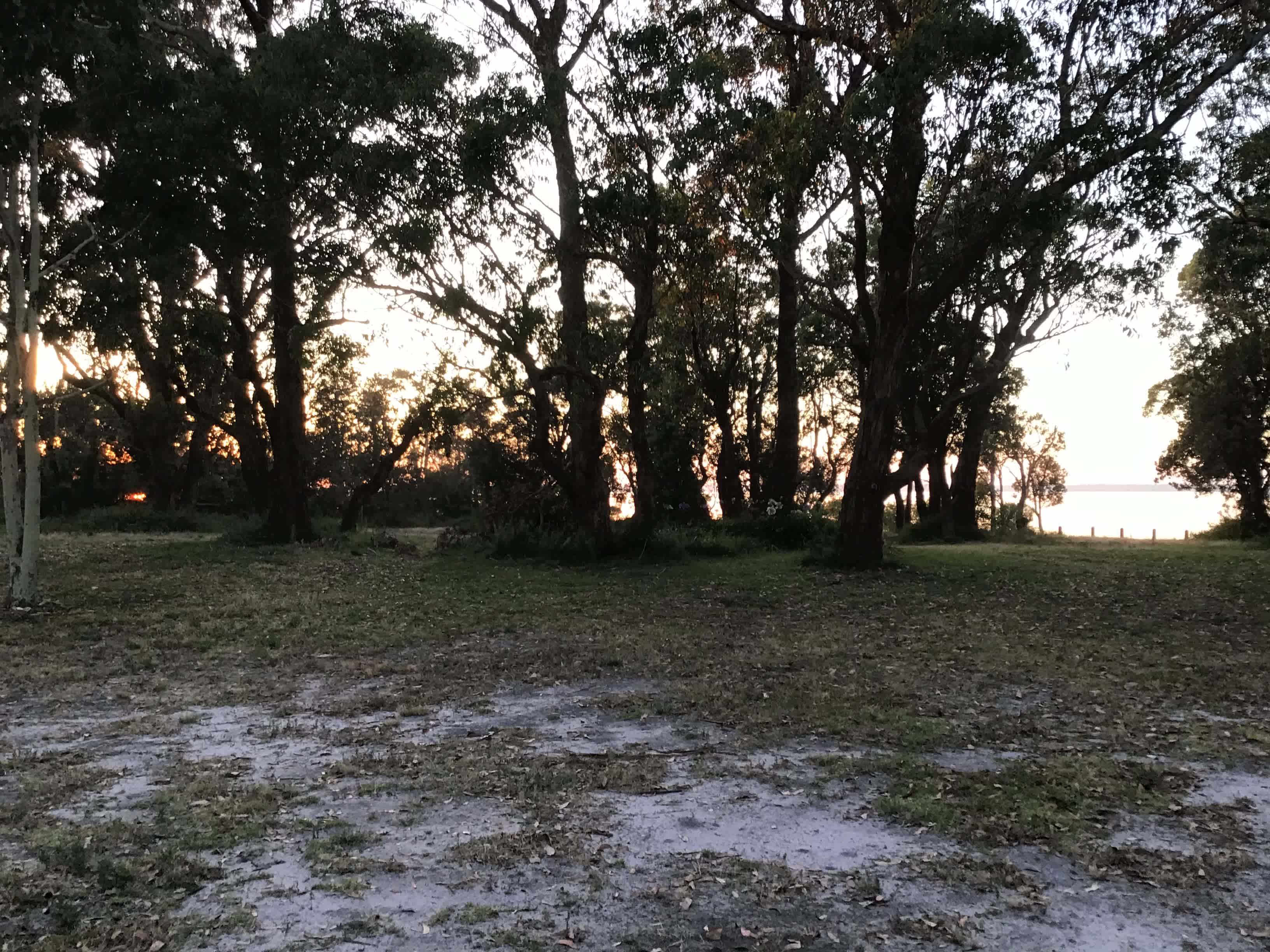 Raymond Island Retreat