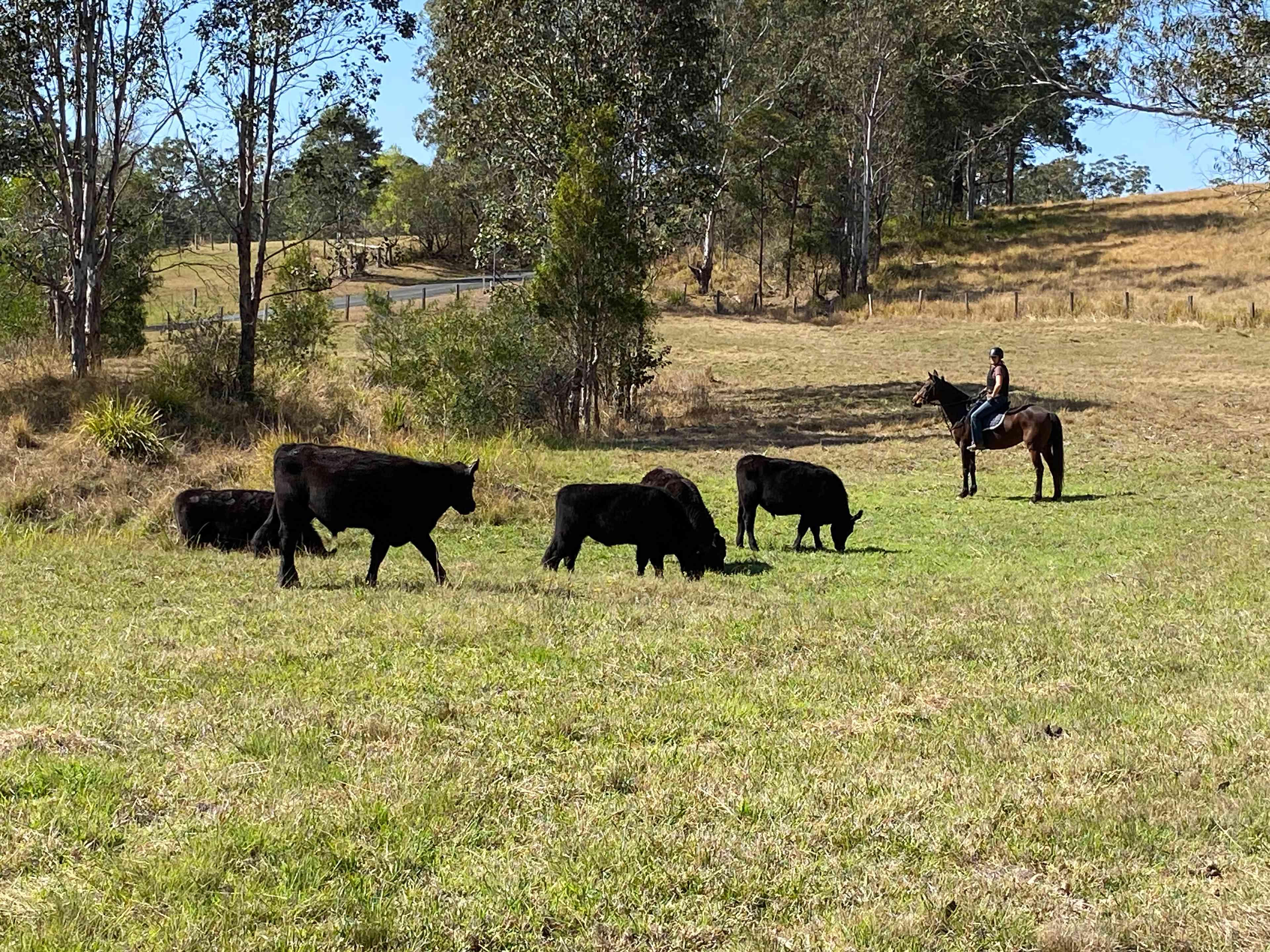 Mal and Sarah’s Farm