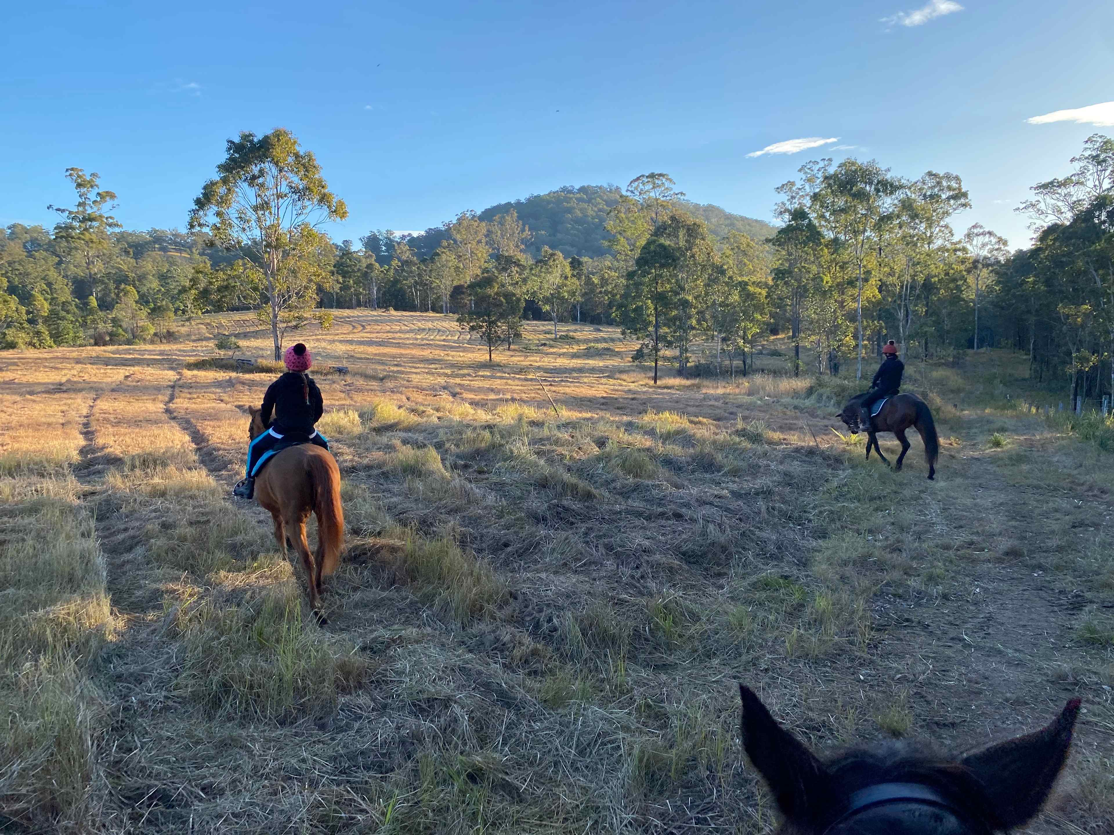 Mal and Sarah’s Farm