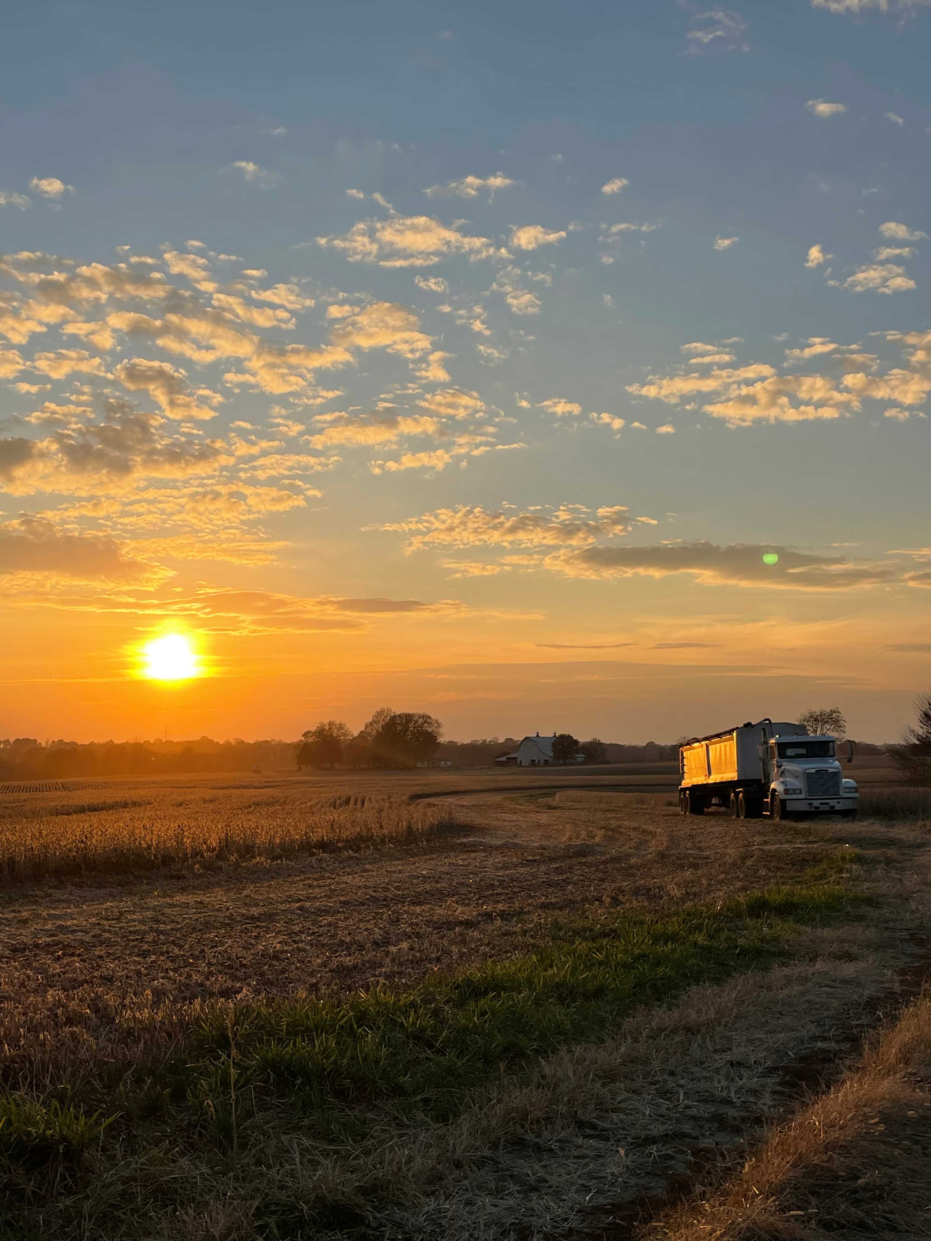 Fall harvest
