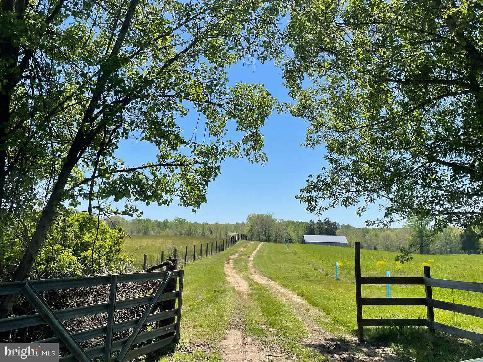 Barbara's Serenity