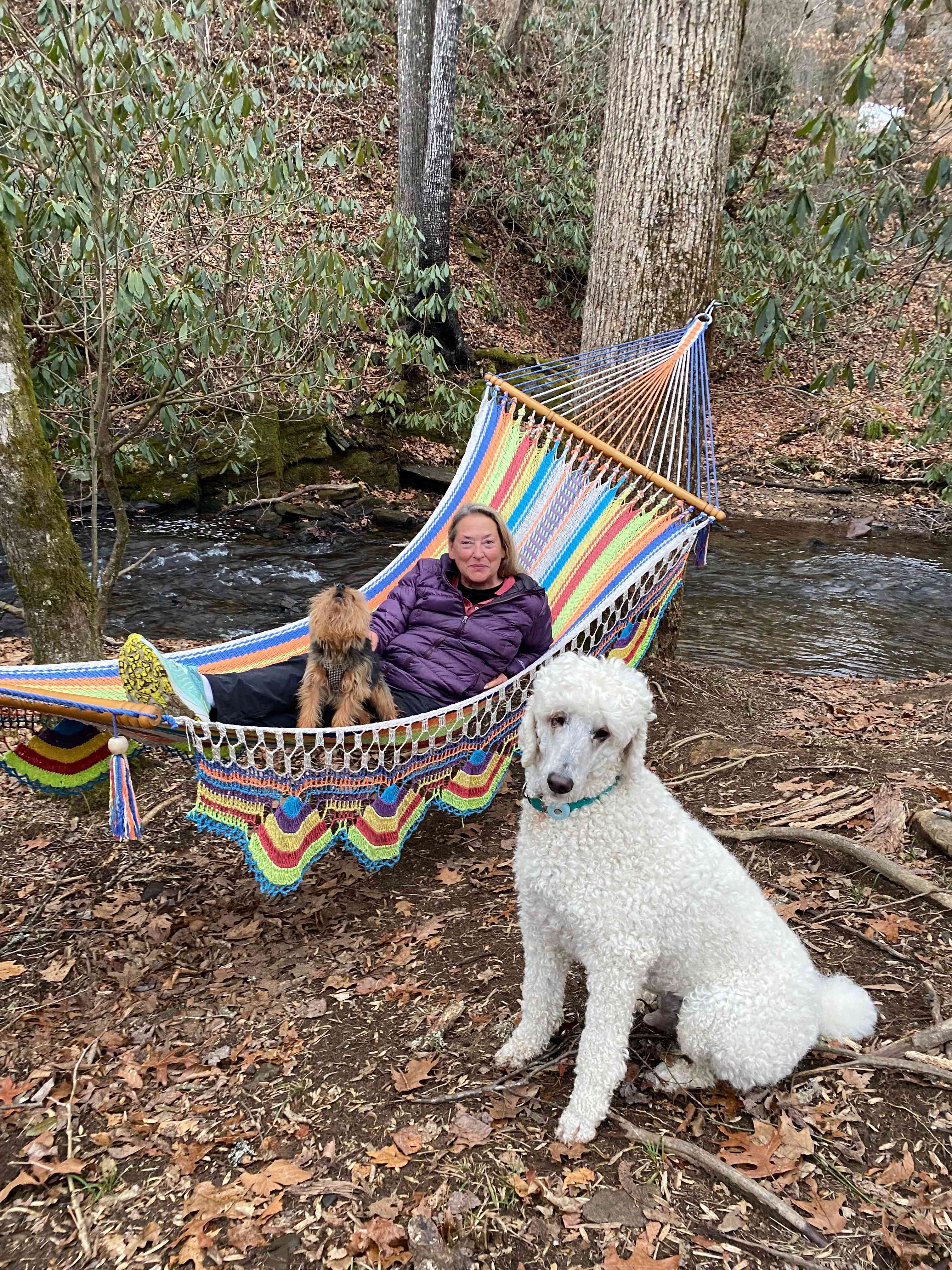 My friend, SUE, and her little dog, Sabby relaxing in a hammock by the creek. My dog Georgie is supervising.