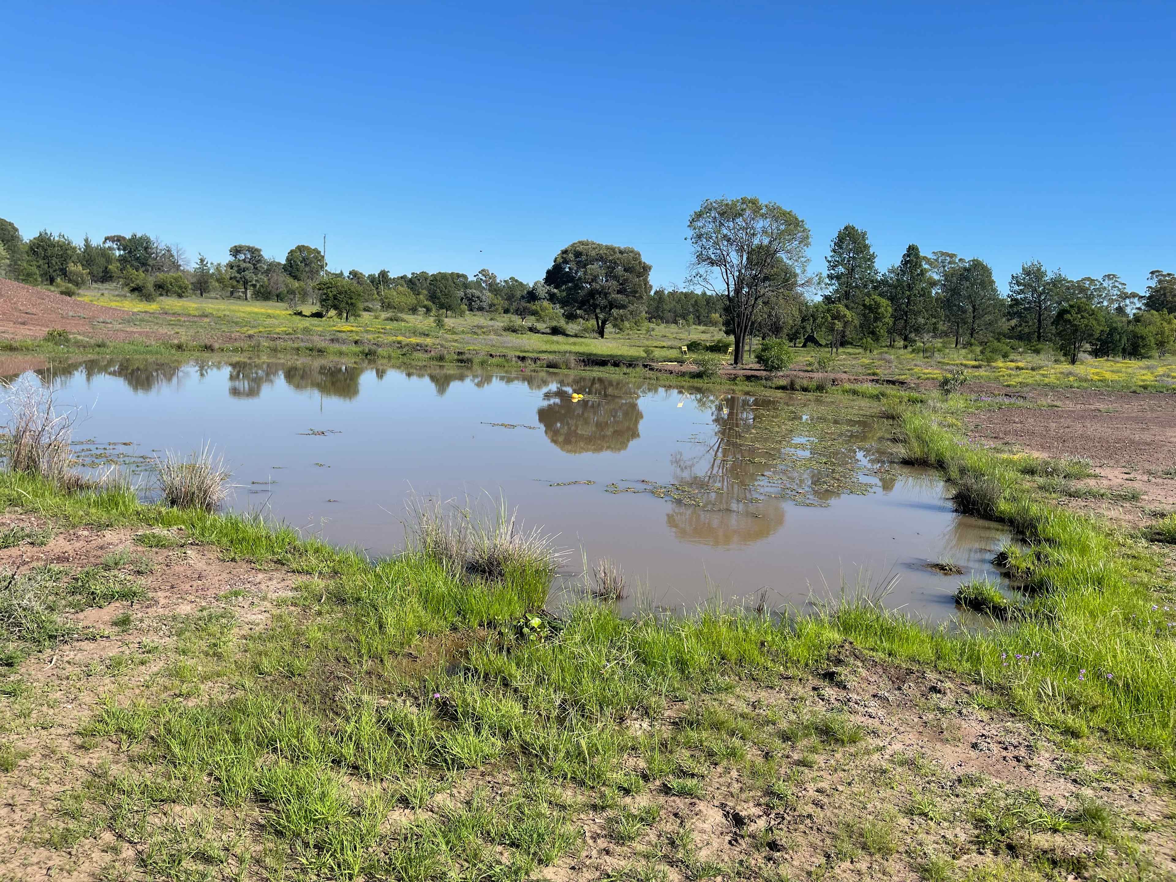 Gari Yala Culture and Bush Camp