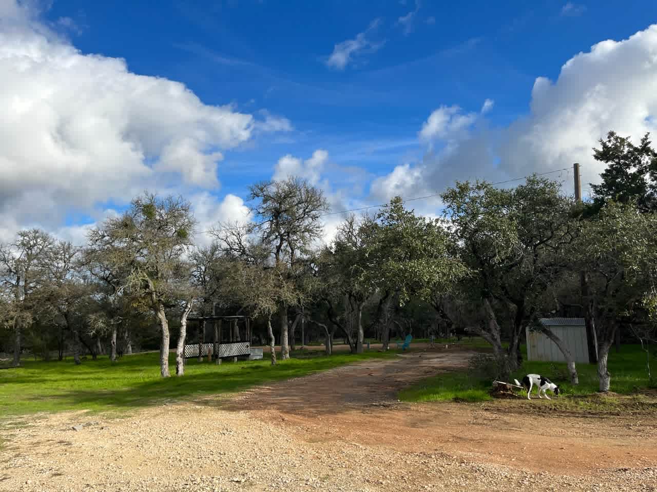 Lavender Sound Homestead
