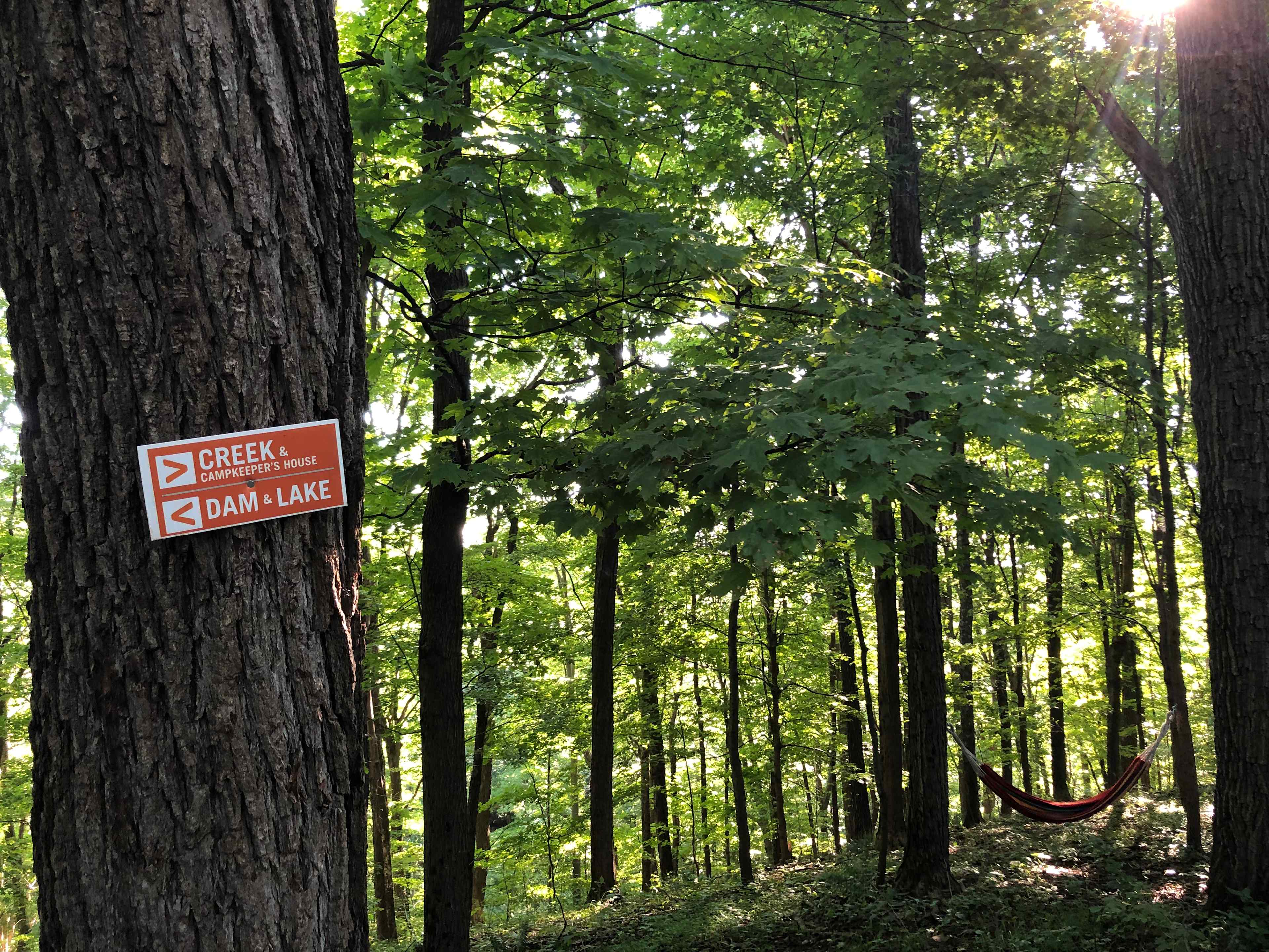 Choose your own path from camp.