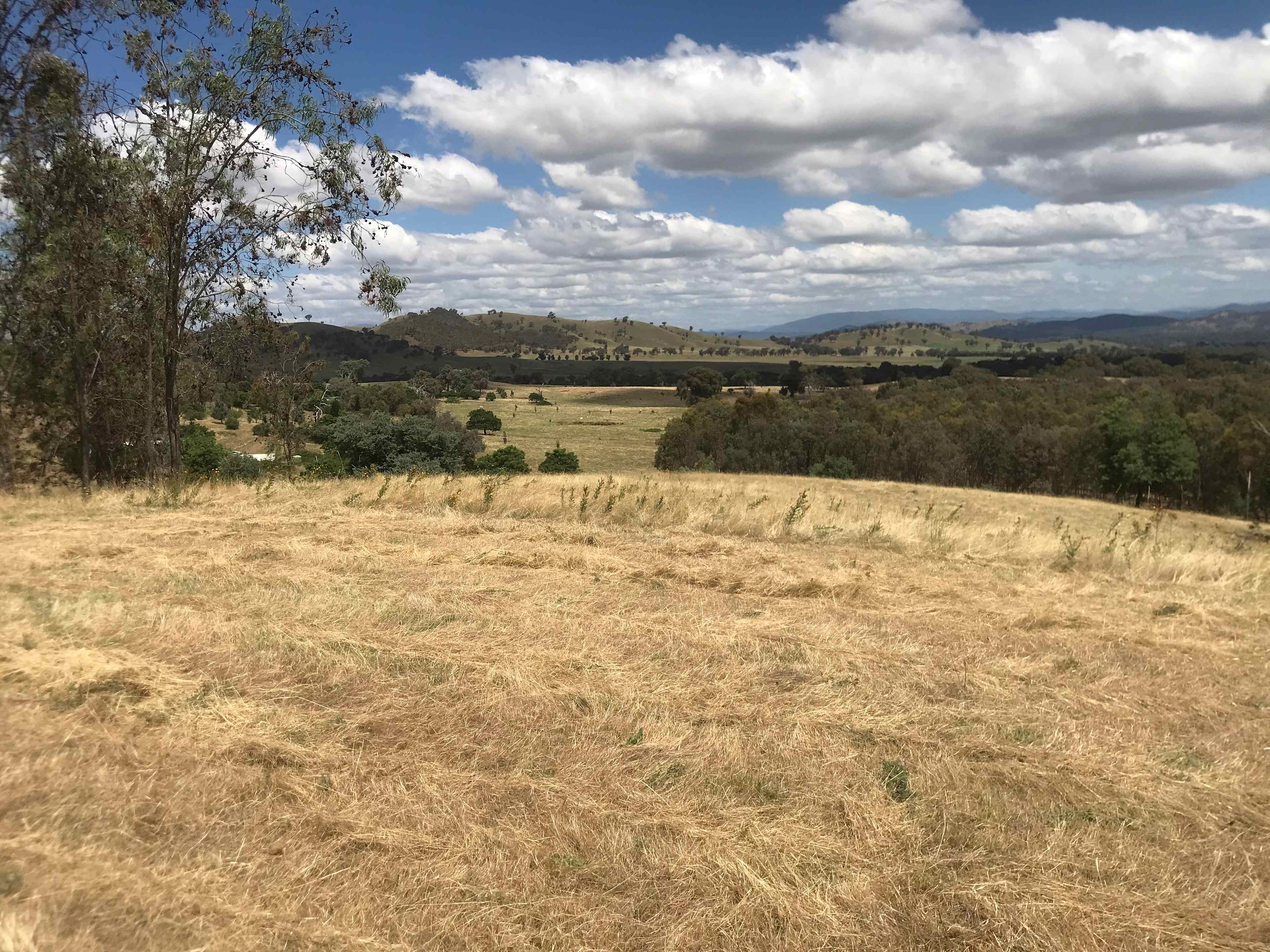 Panorama on Oxenbury