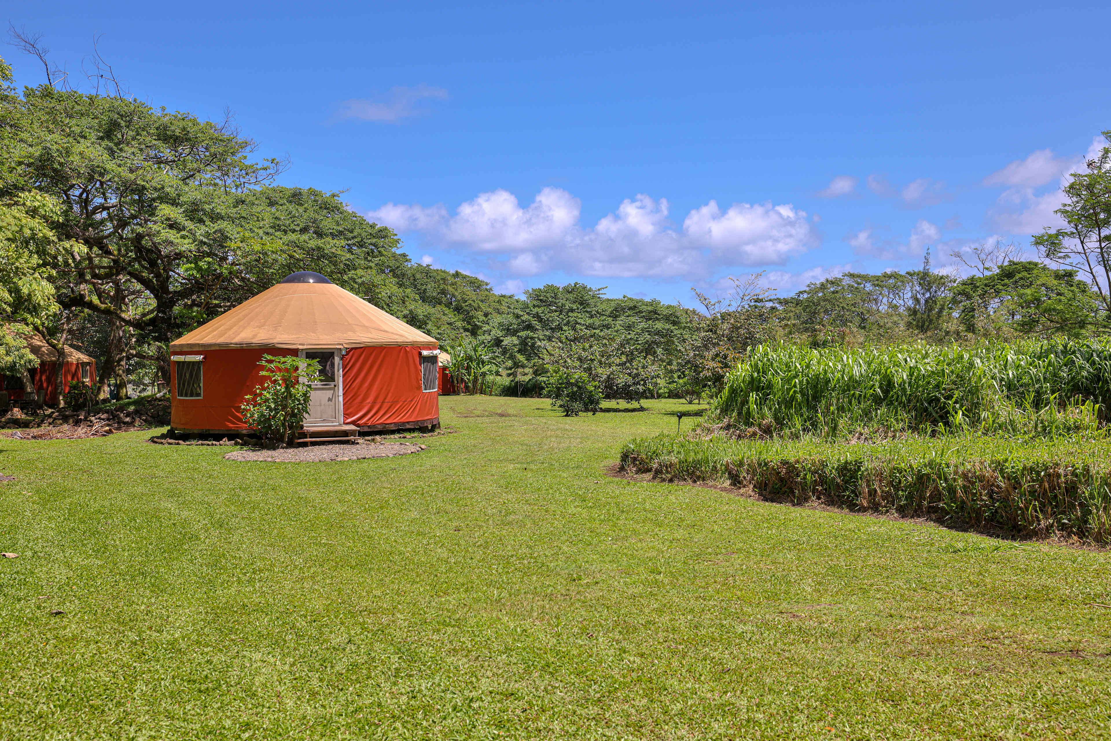 Best Cabin Rentals in Hawaii 2026 | Hipcamp