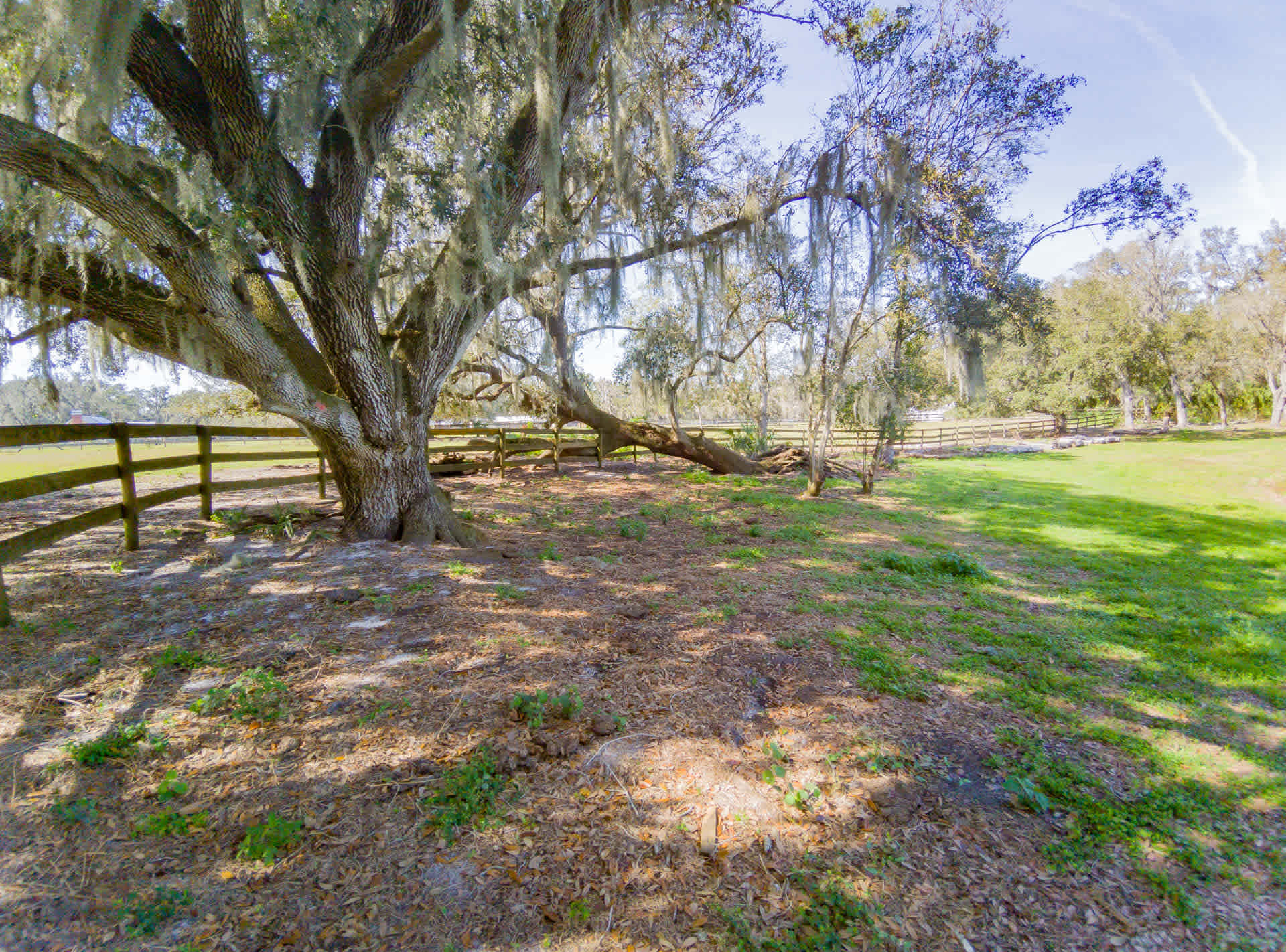 Owen's Family Farm