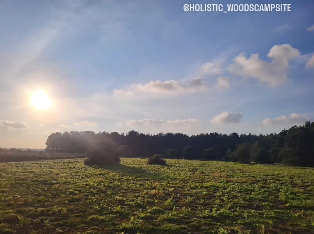 Holistic Woods Campsite WILD