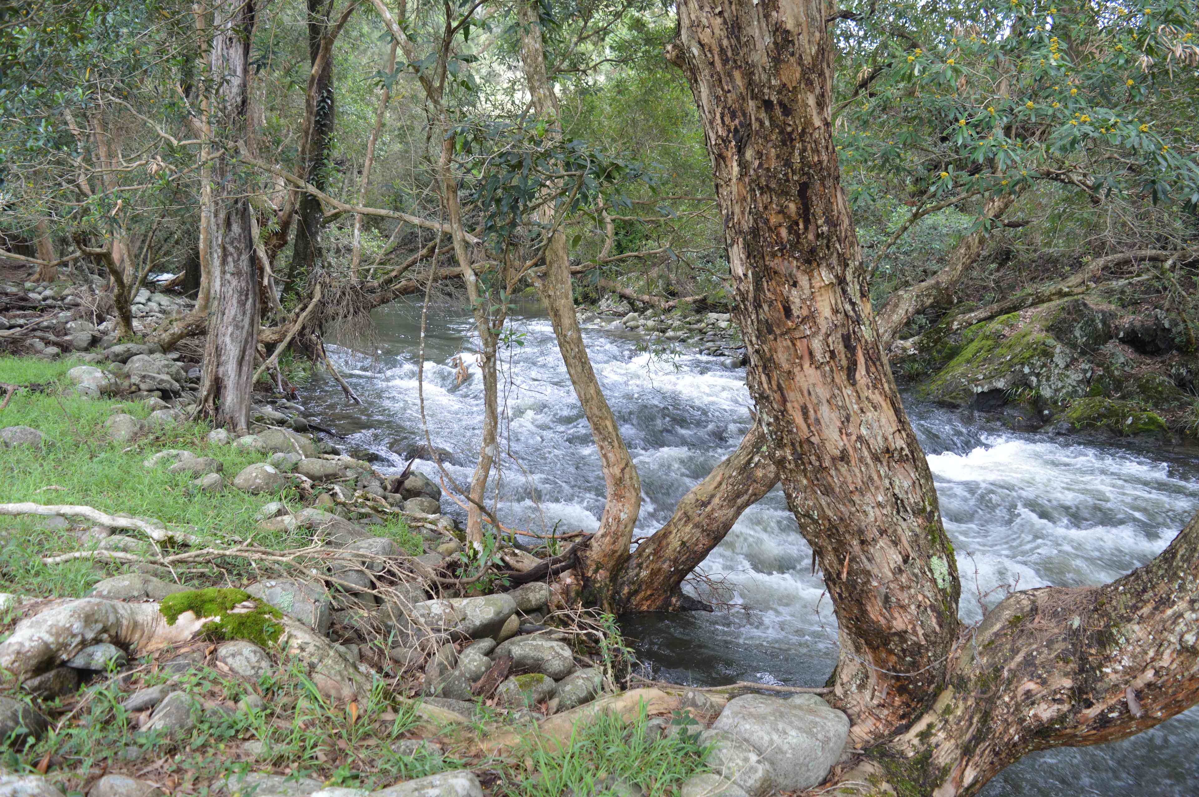River Front Campsites