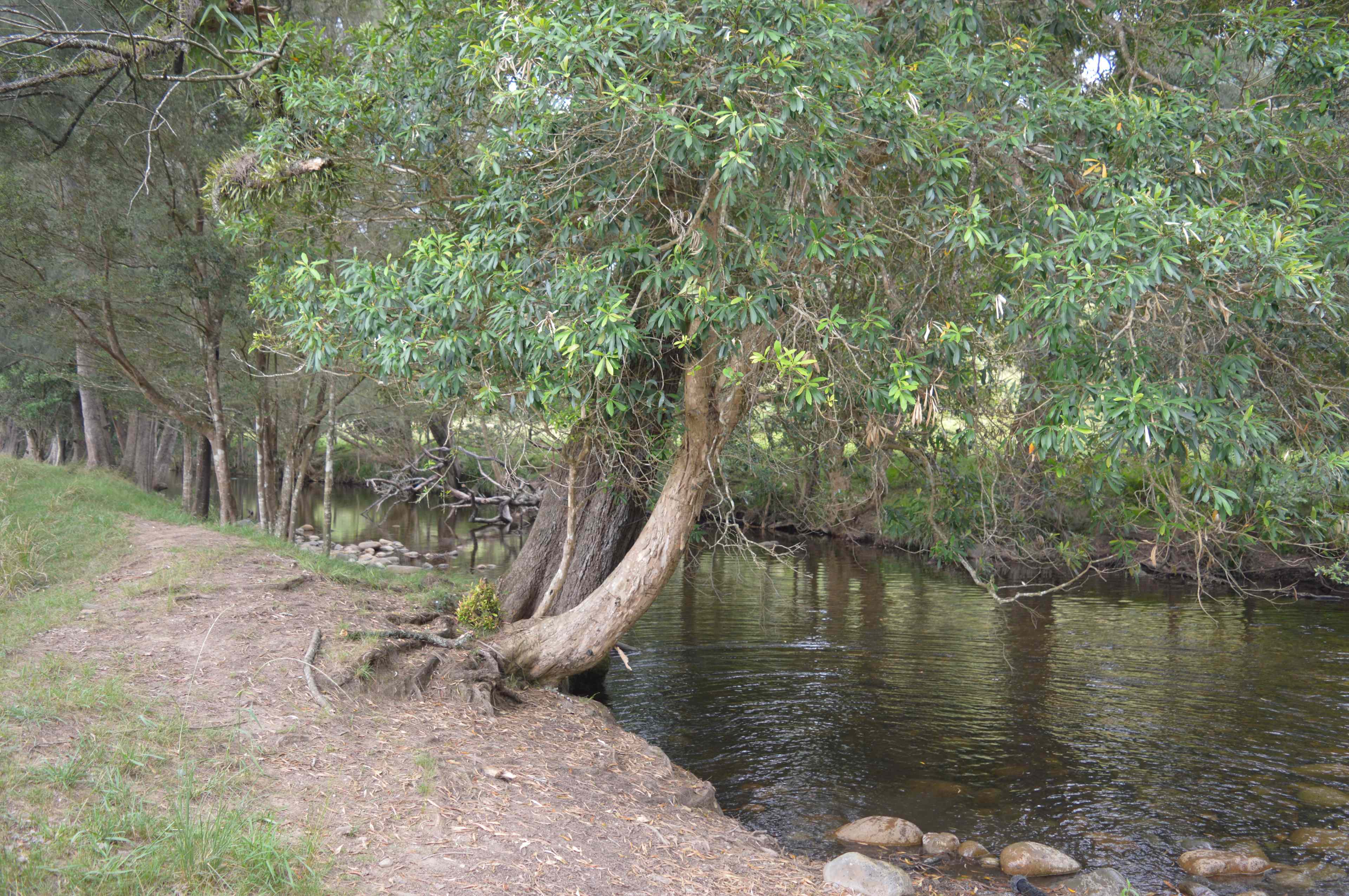 River Front Campsites