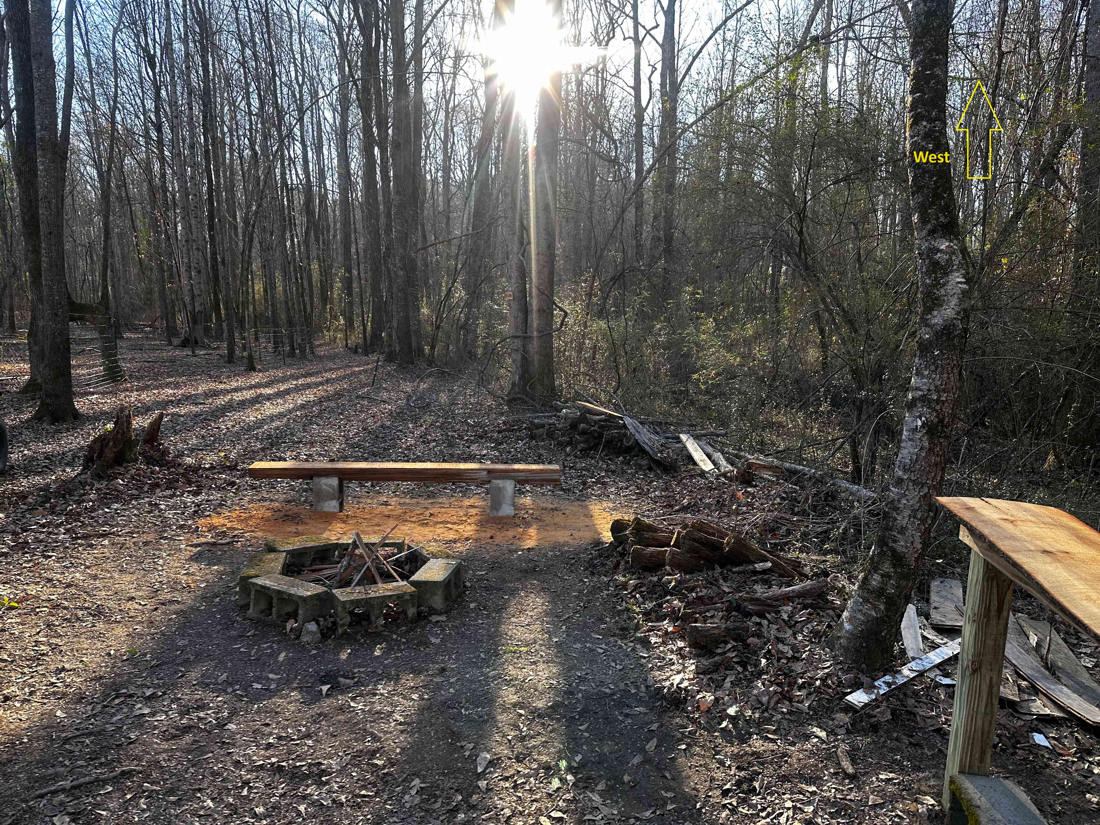 Site 1 - next to goat pasture/stream