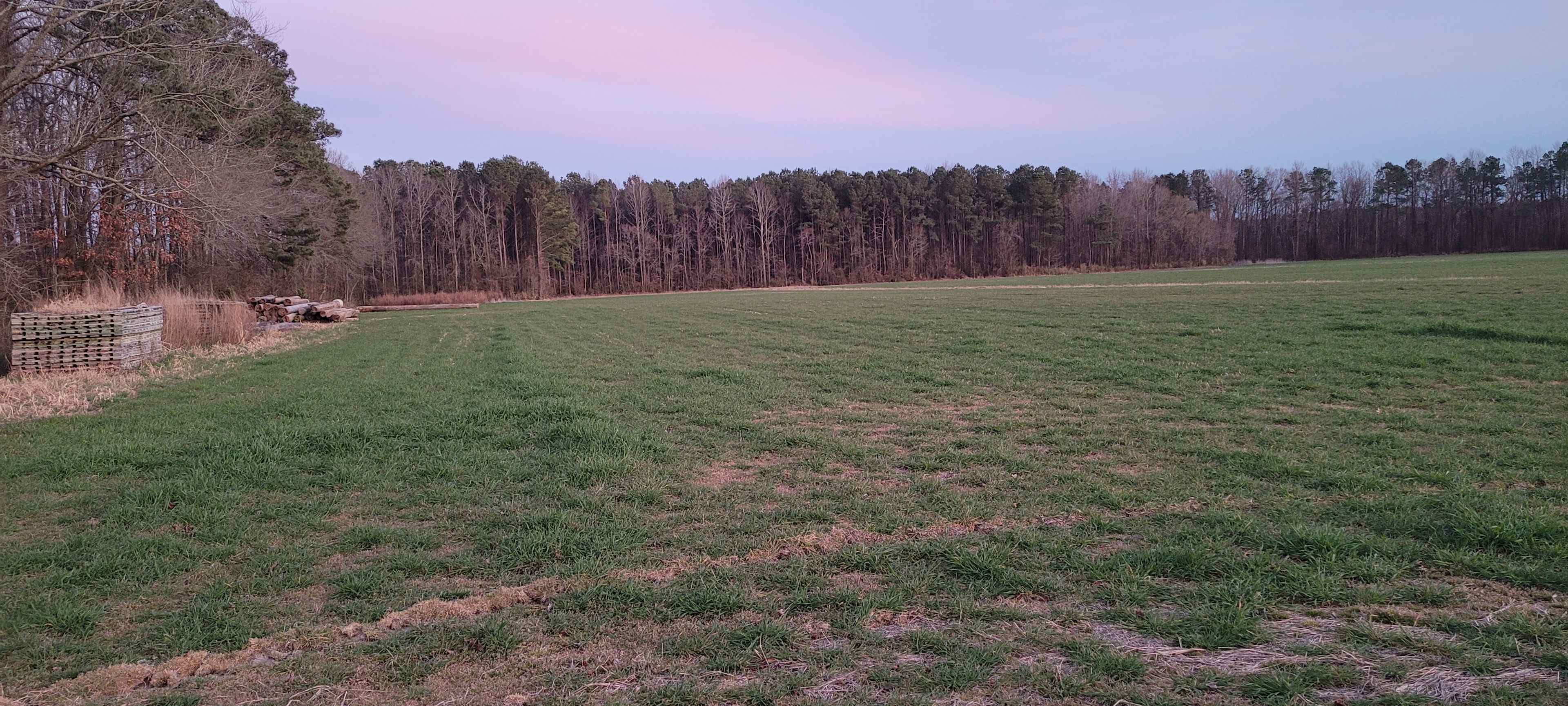 Wide Open Spaces