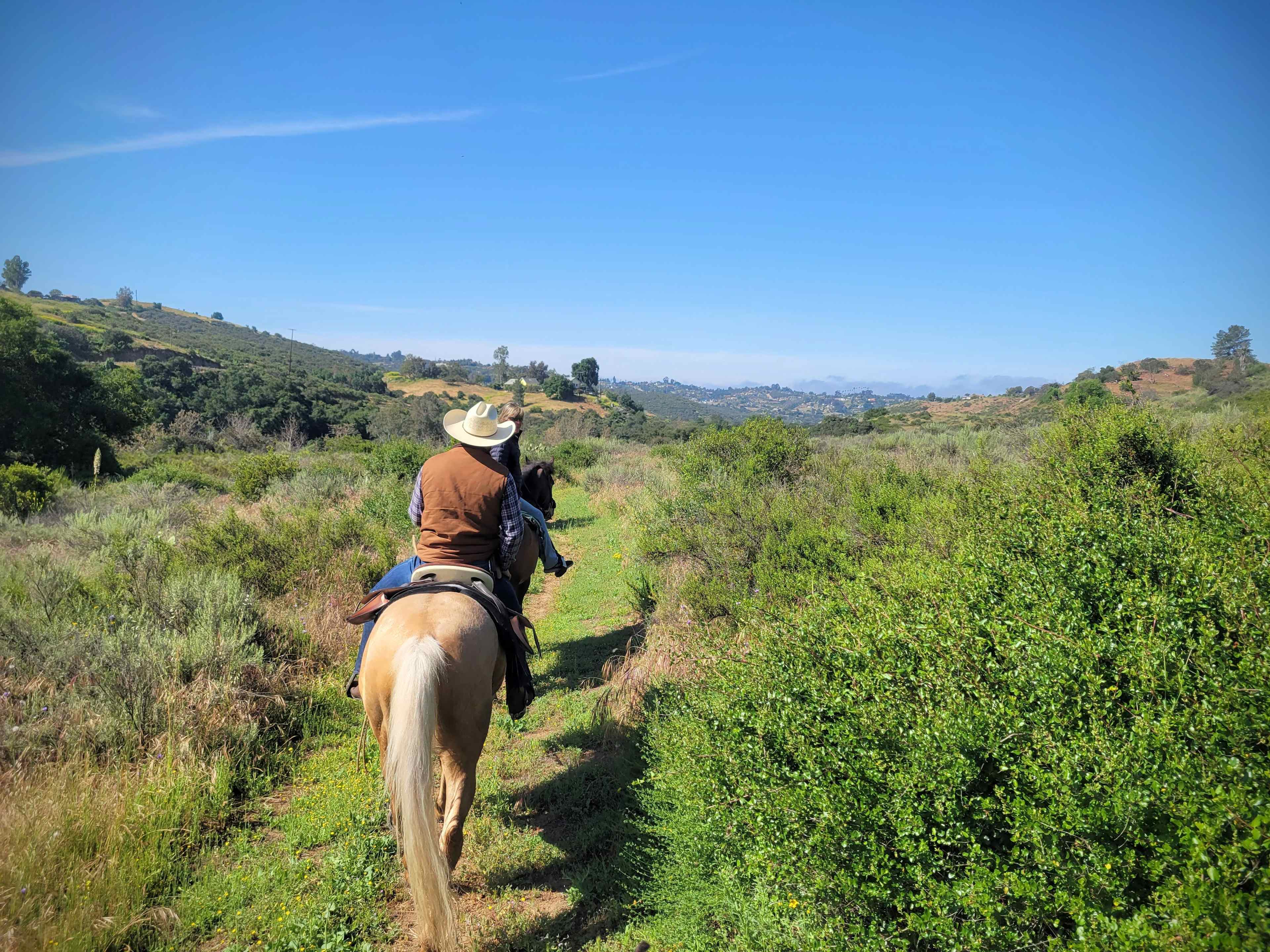 Horsetel River Retreat