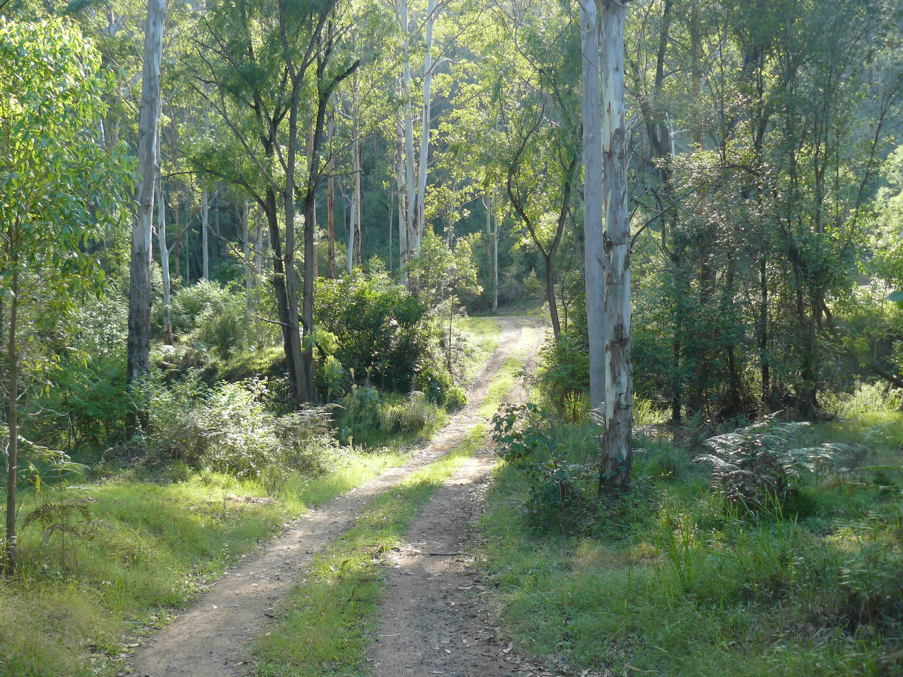 Wollombi Private Earthways camp
