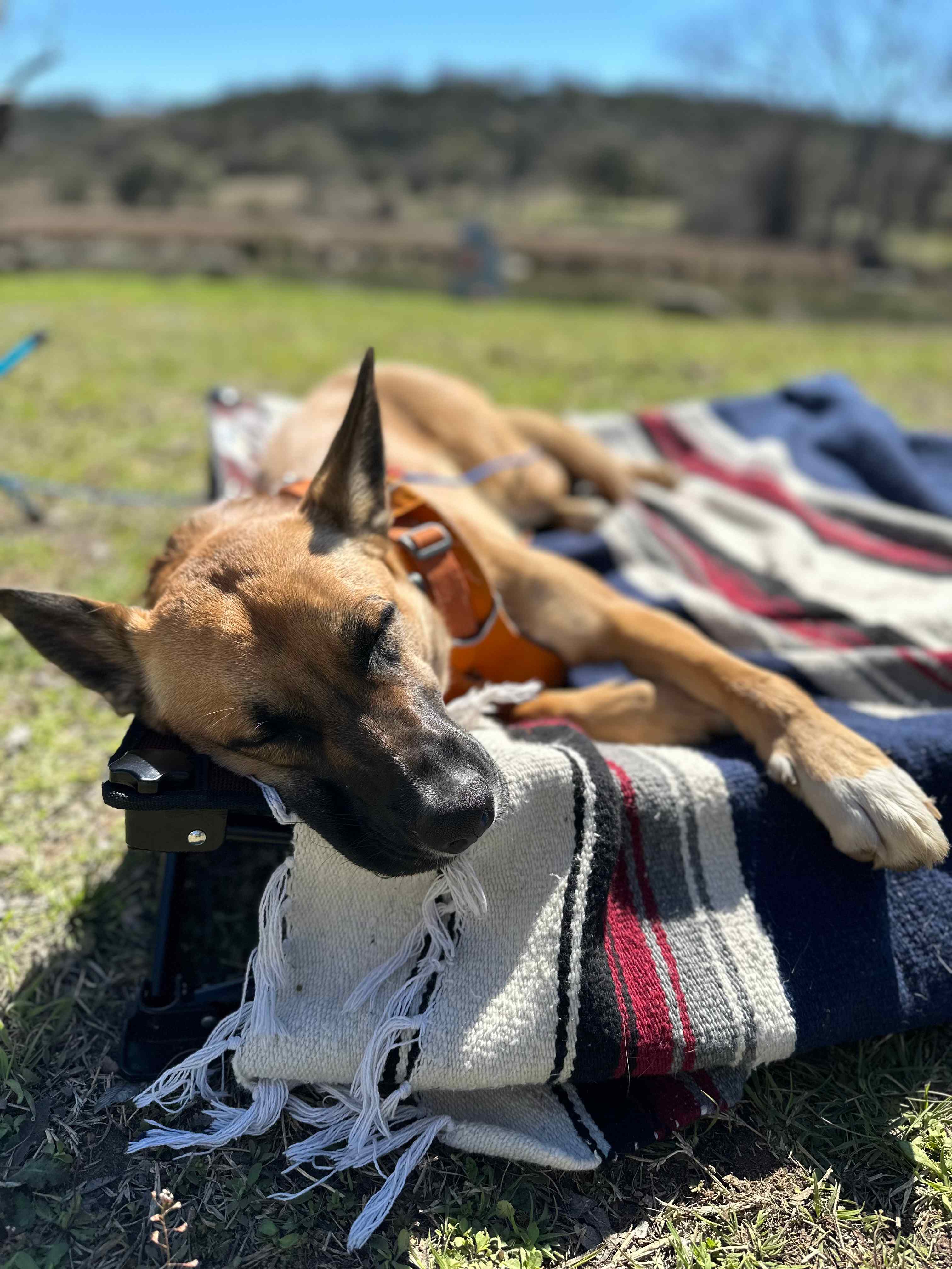 Hill Country Escape