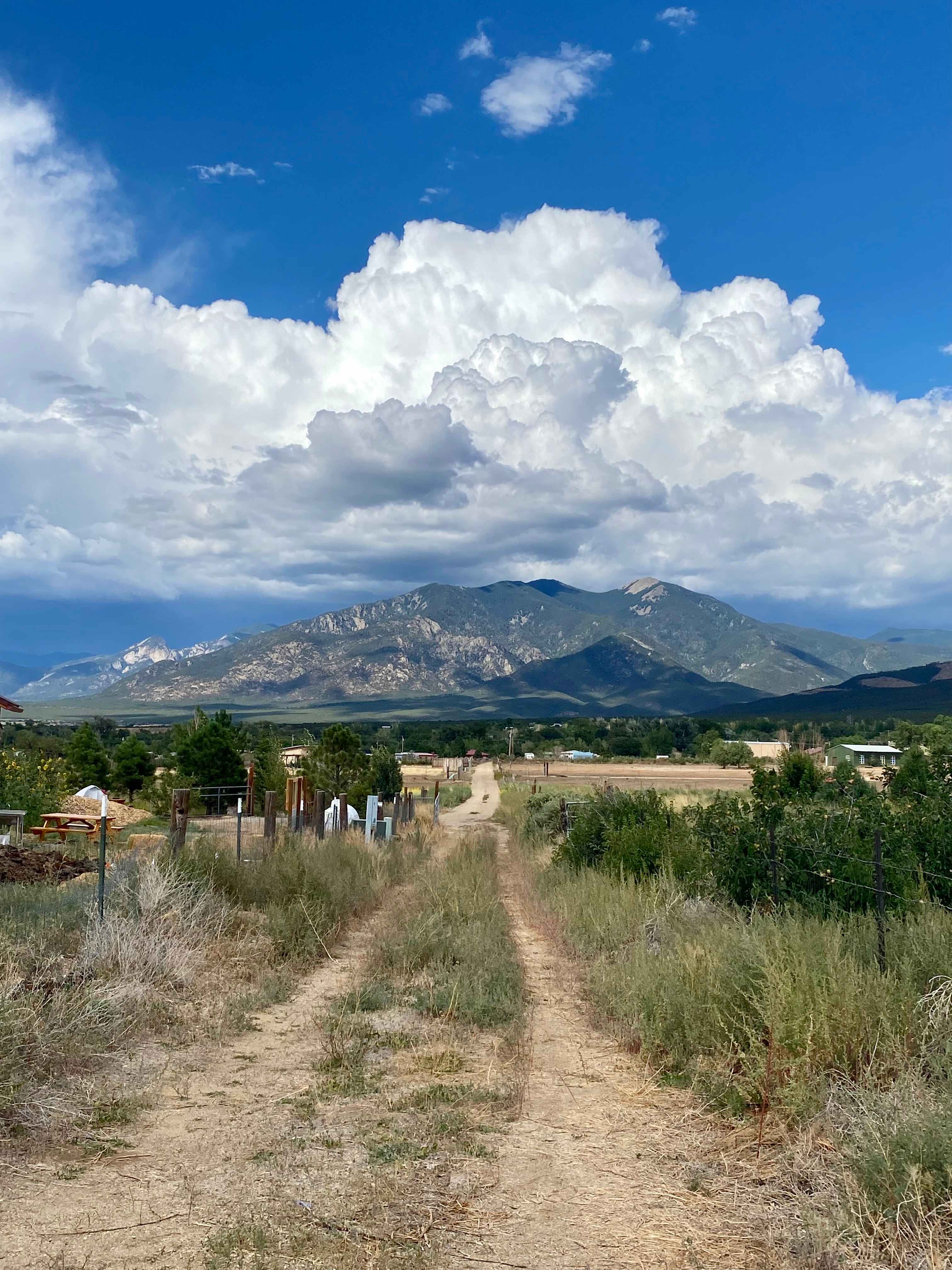 HarmonyTaos Regenerative Farm