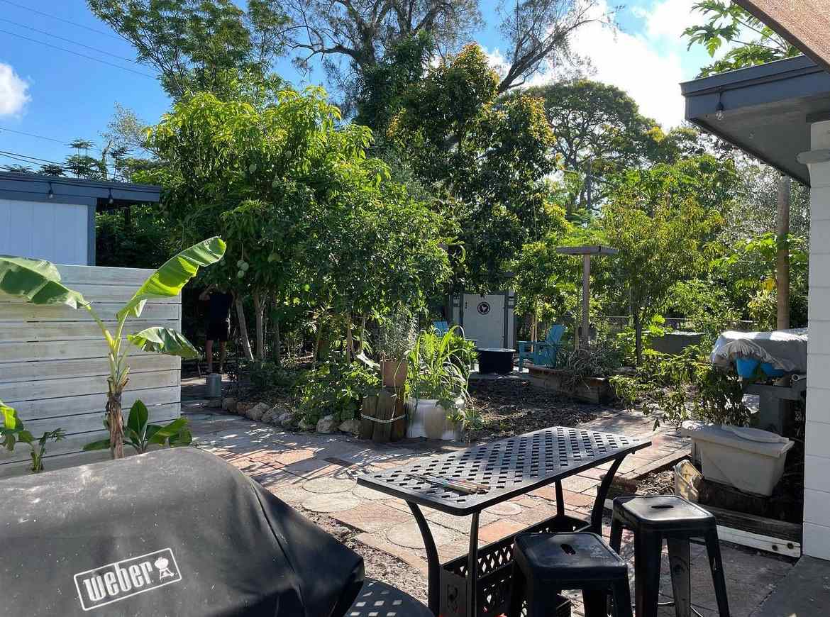 St Pete Micro Farm