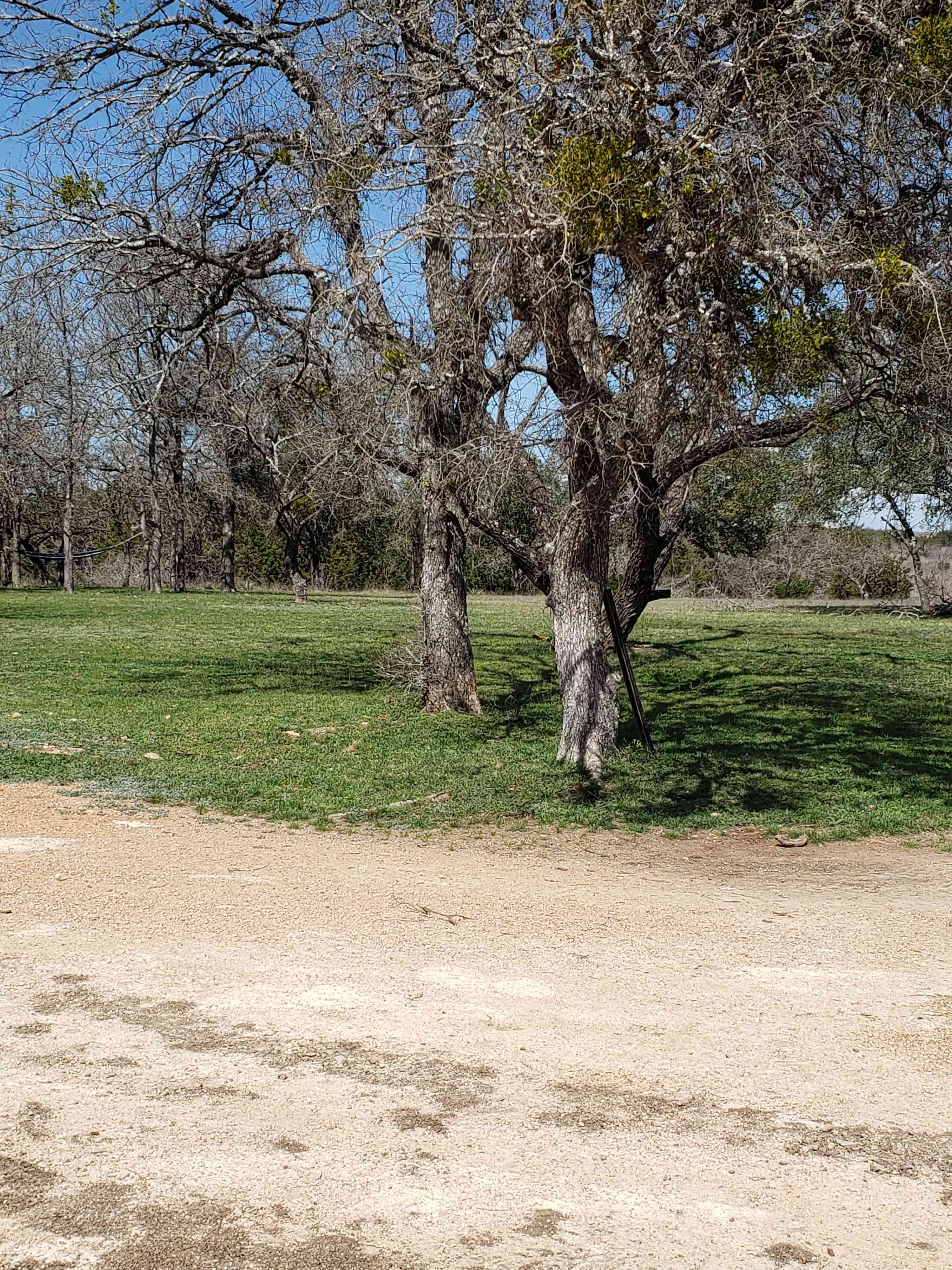 Soules Family Ranch