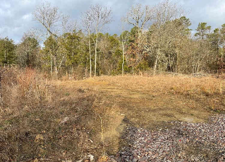 3Ponds Beaver Dam