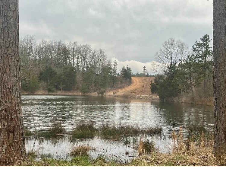 3Ponds Beaver Dam