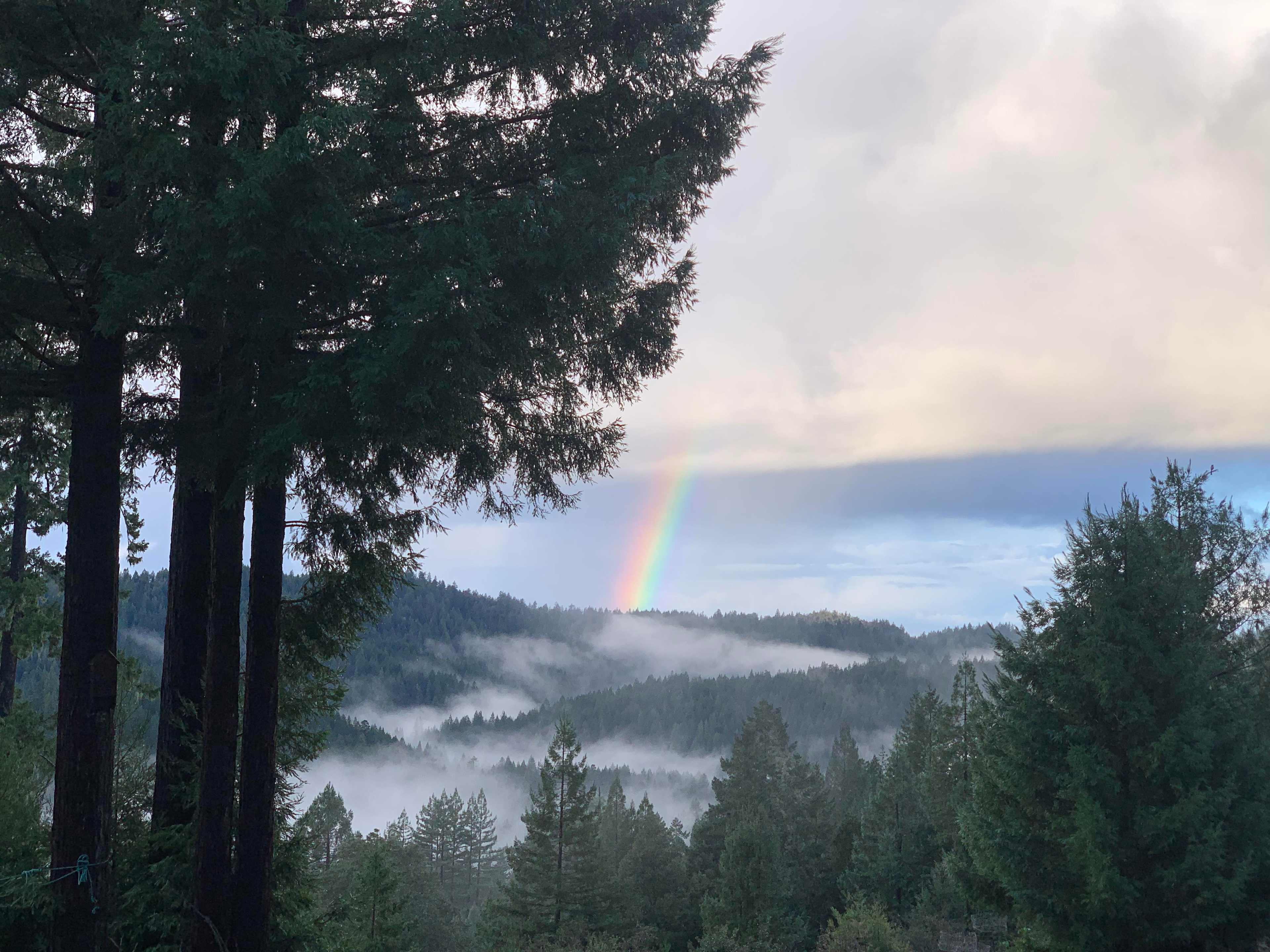 View from our house