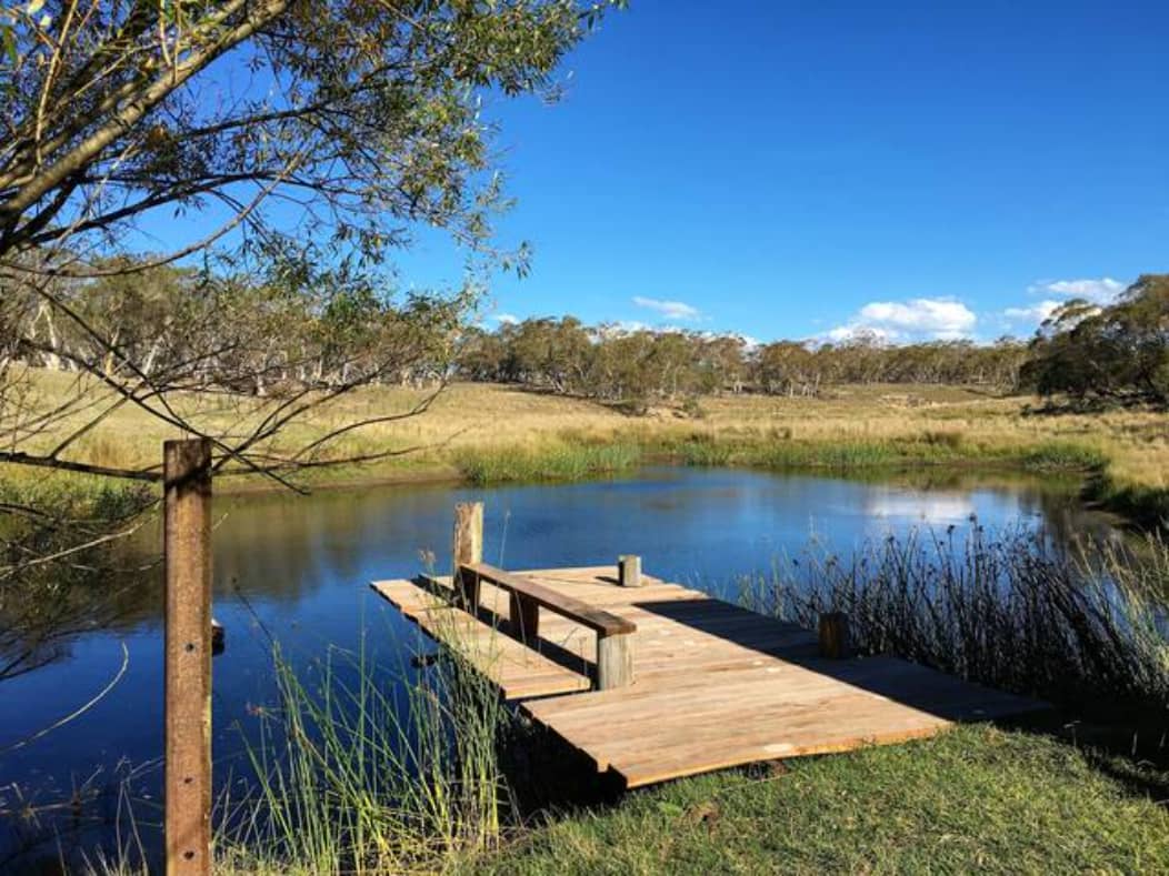 Southern Tablelands Bush Camping