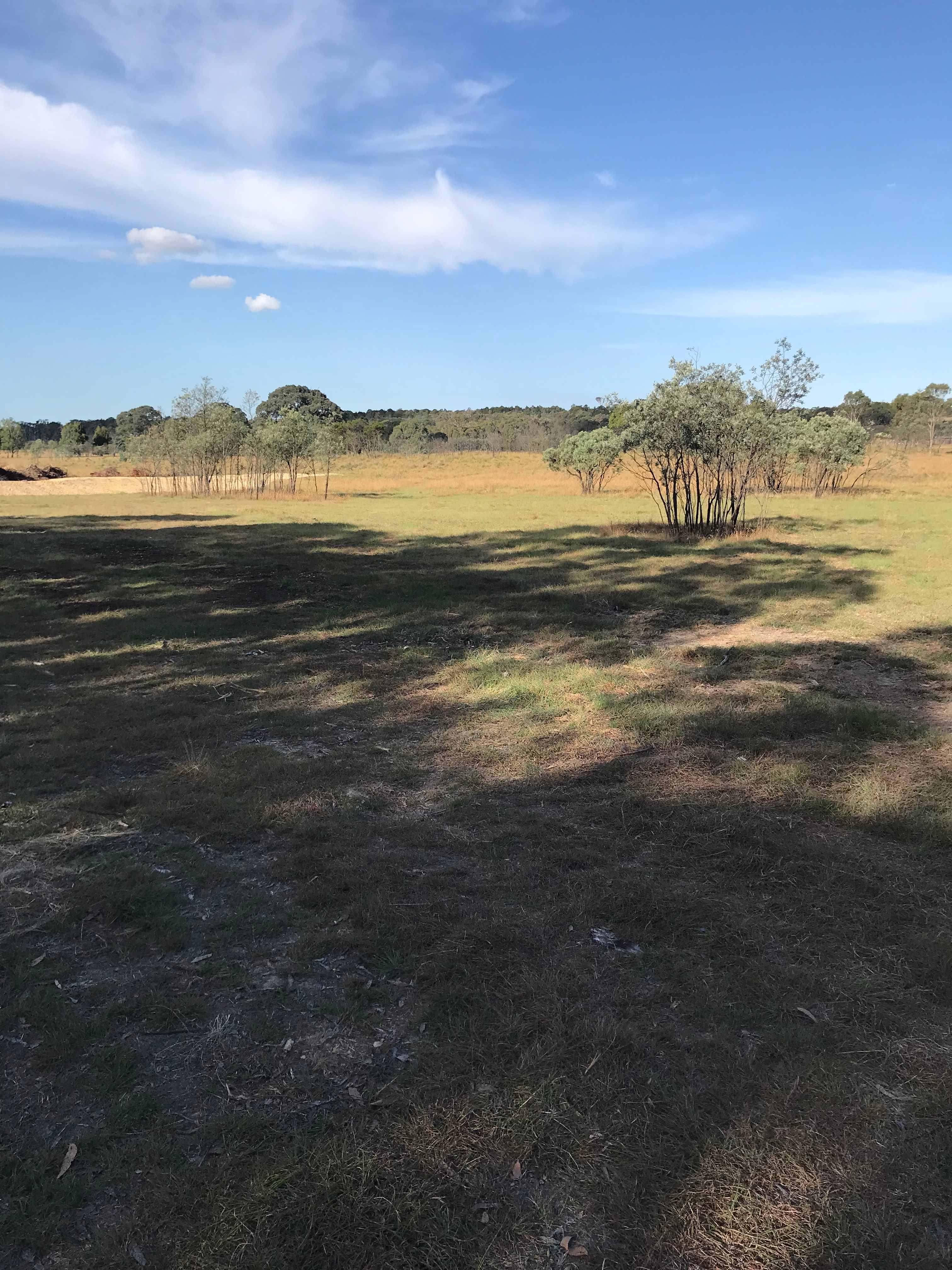 Miranda Springs Farm Stay